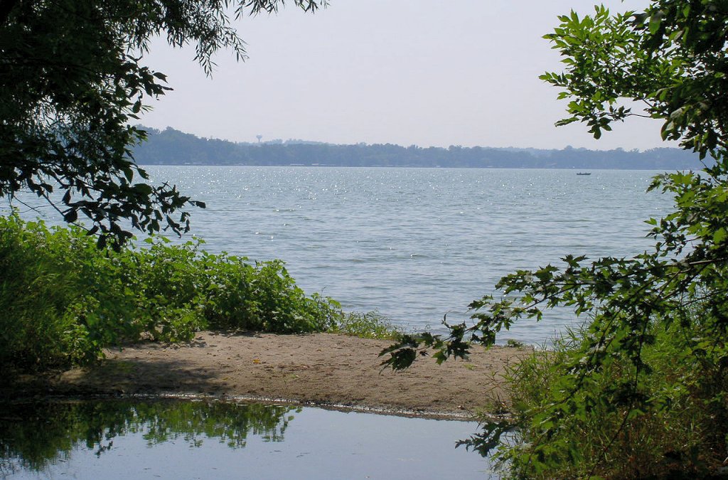 Wikimedia Commons