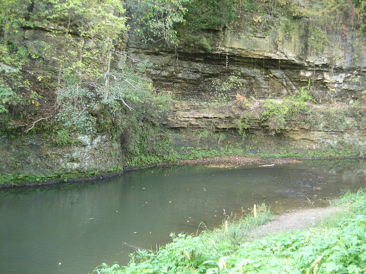 White Pines Forest Campground