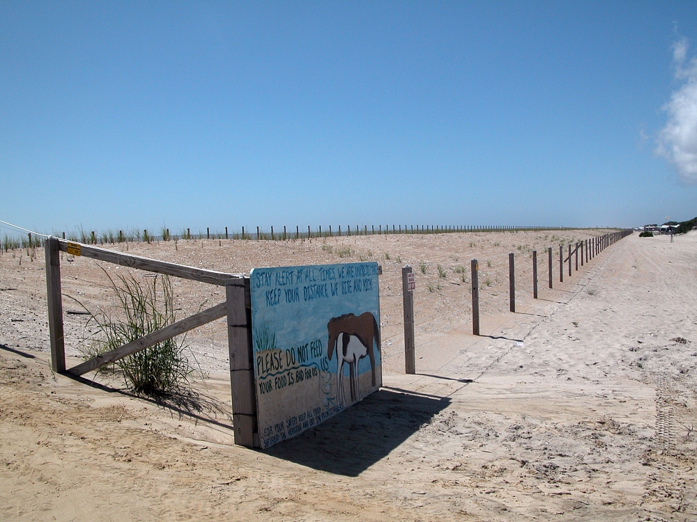 Assateague State Park