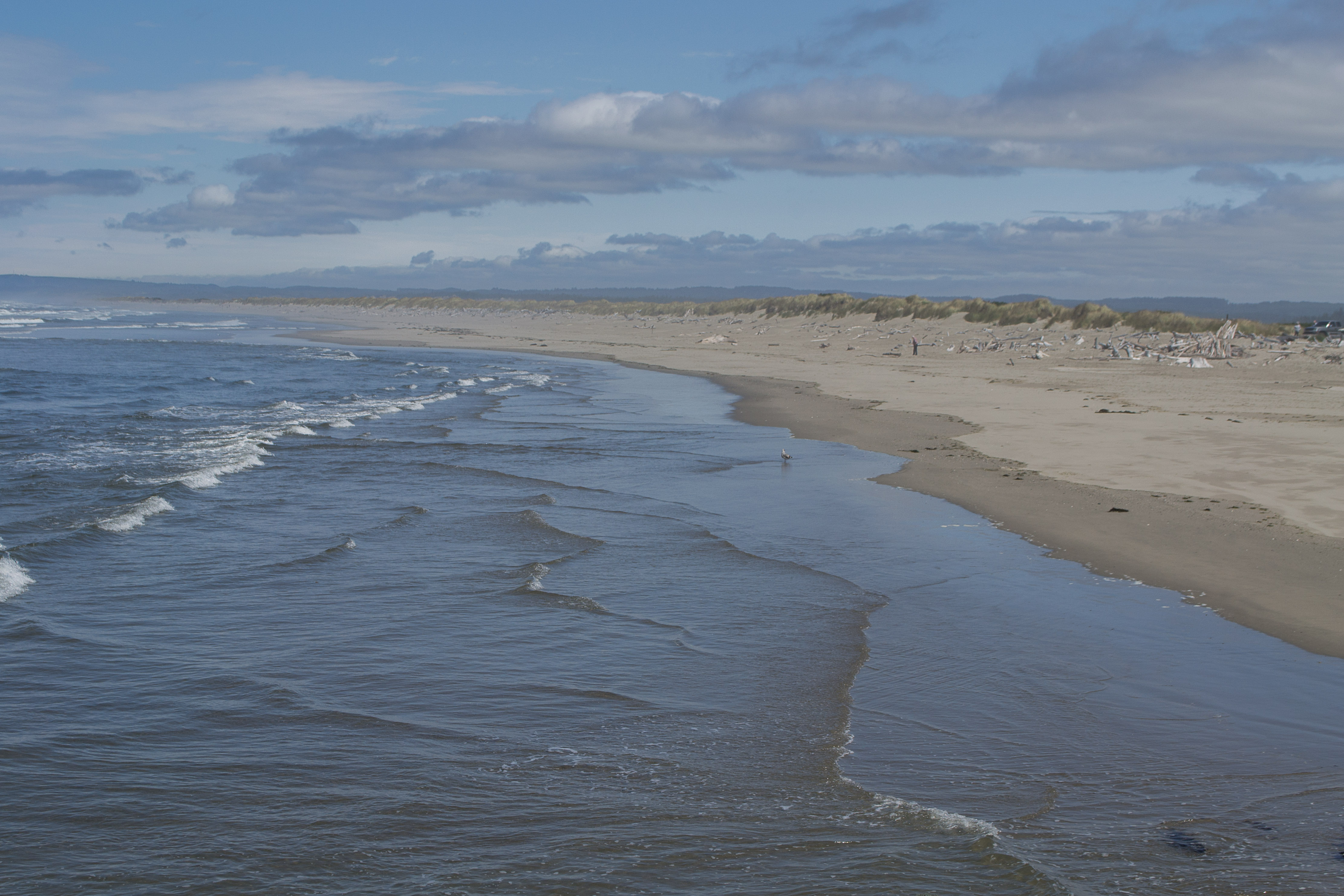 Bullards Beach State Park