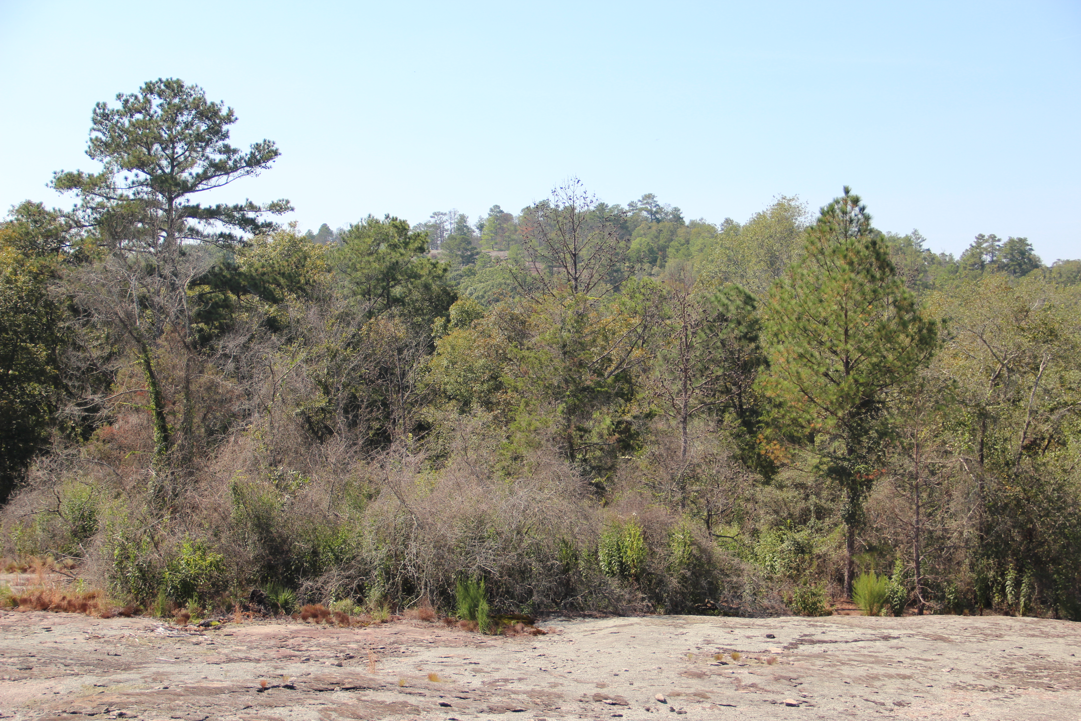 Panola Mountain State Park