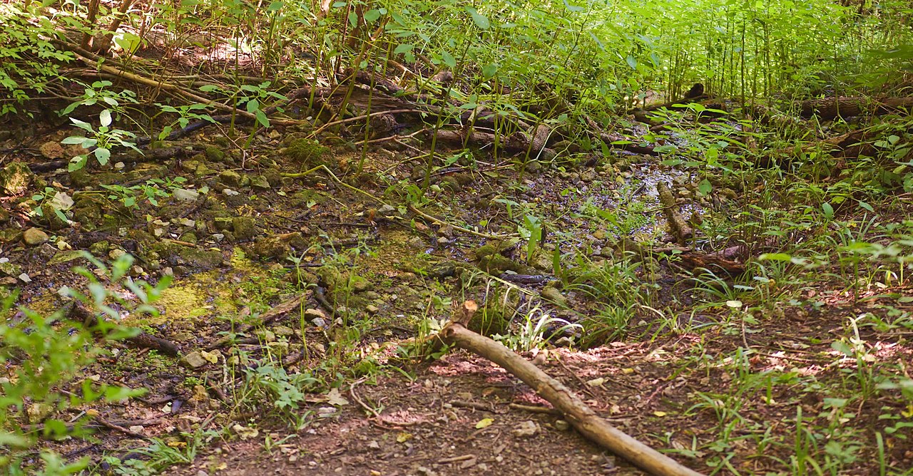 John Bryan Group Campground