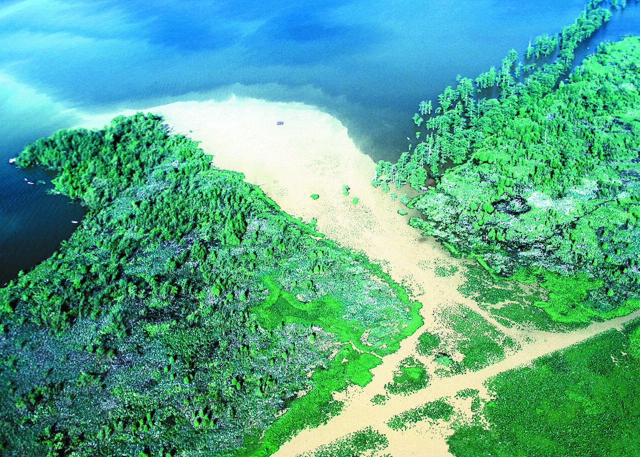 Reelfoot Lake State Park