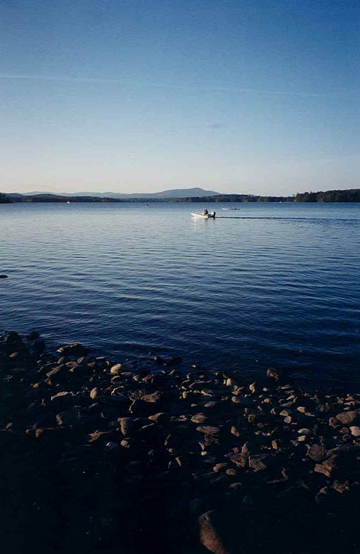 Wikimedia Commons