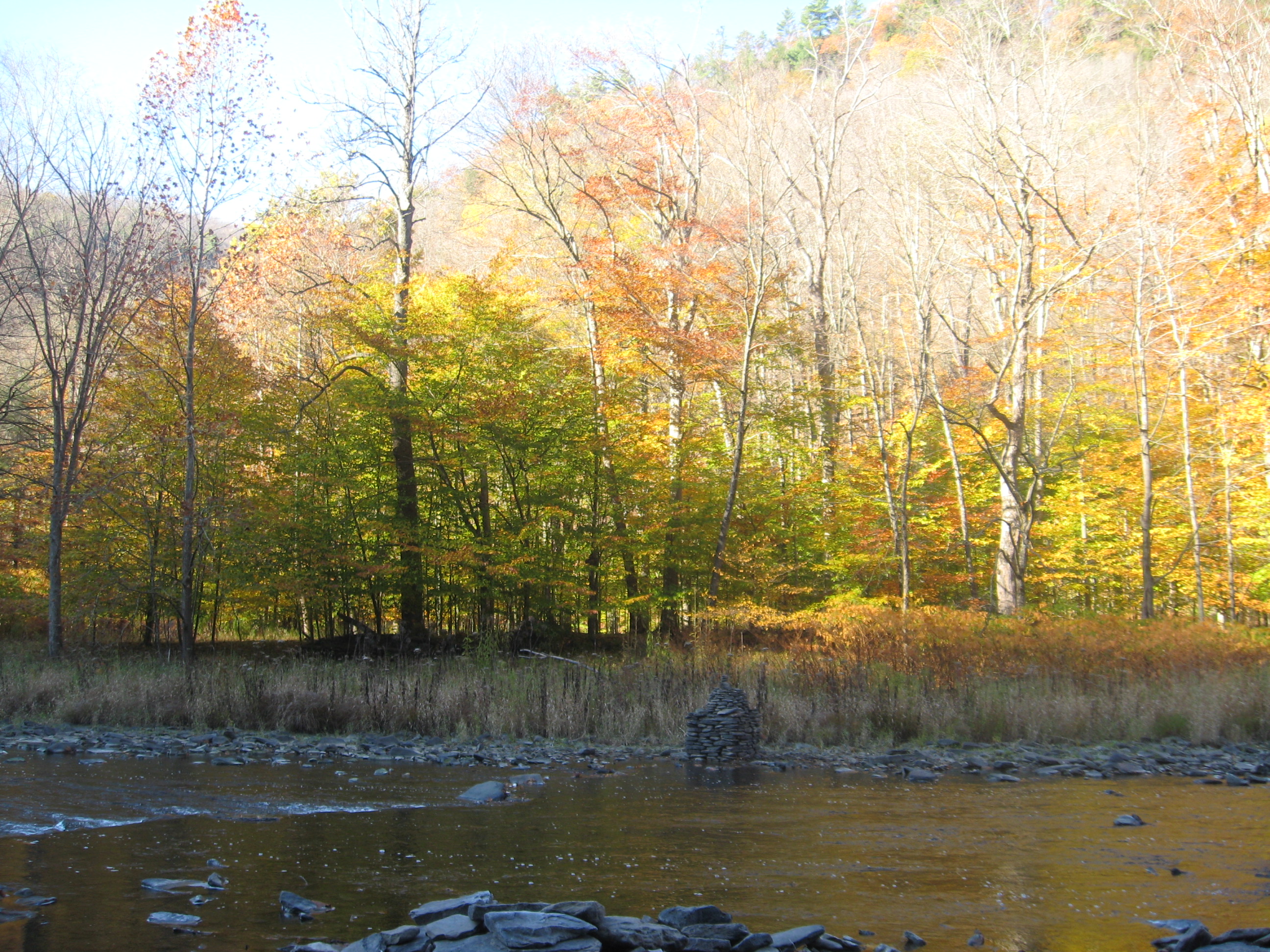 Leonard Harrison State Park