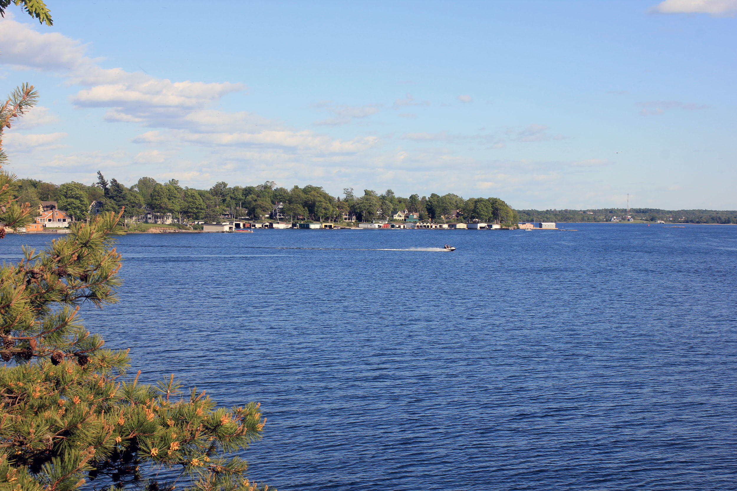 Wellesley Island State Park