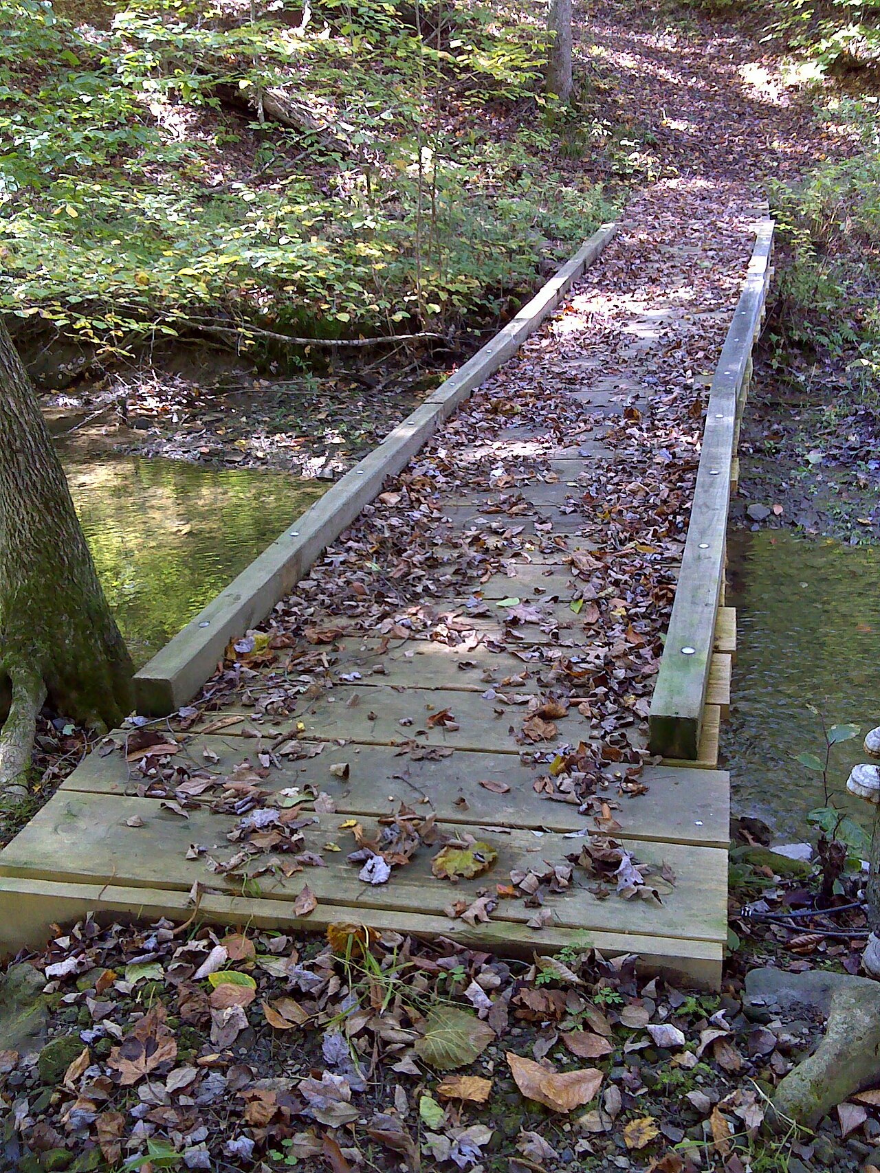 Mead Creek State Forest Campground