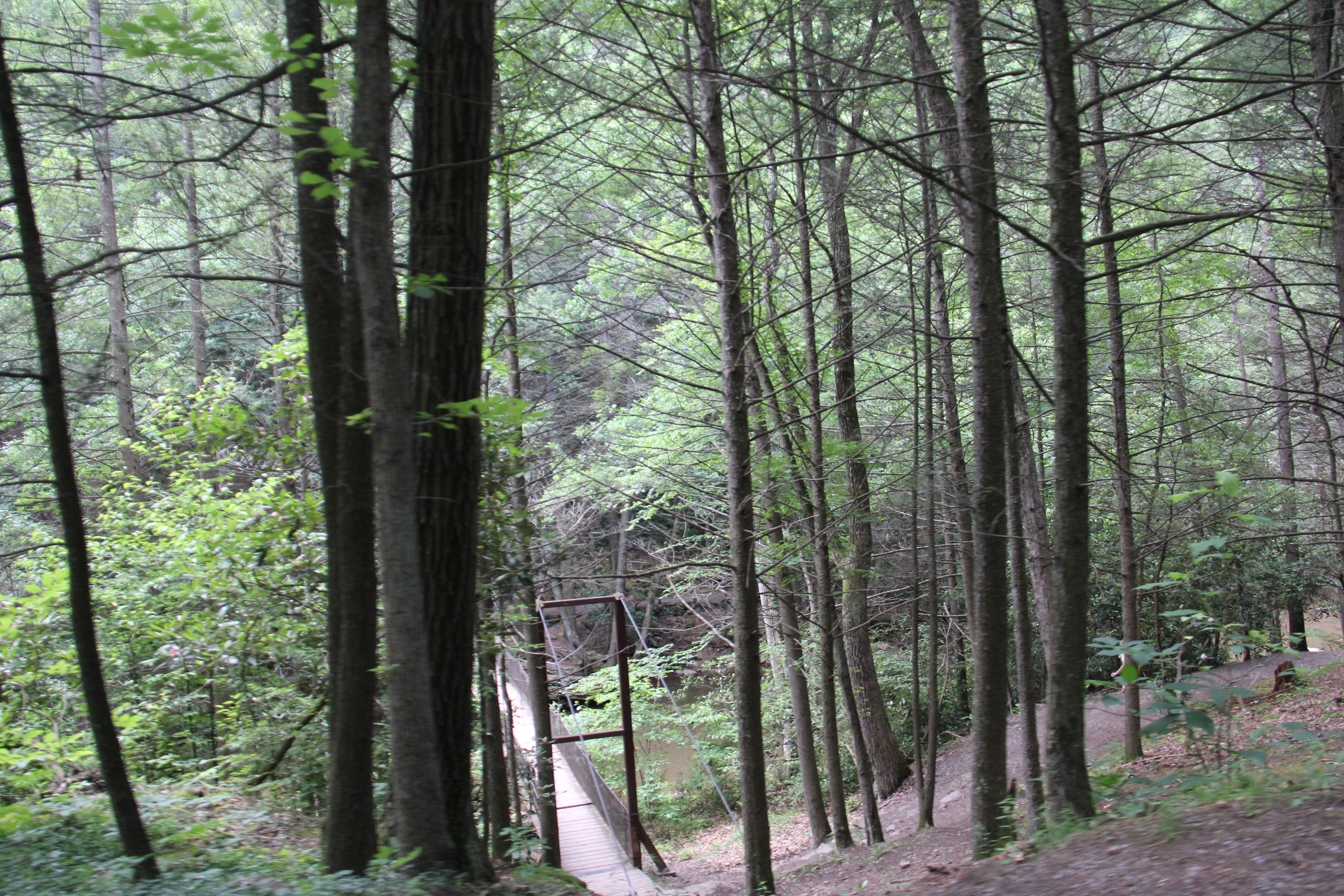 Trough Creek State Park