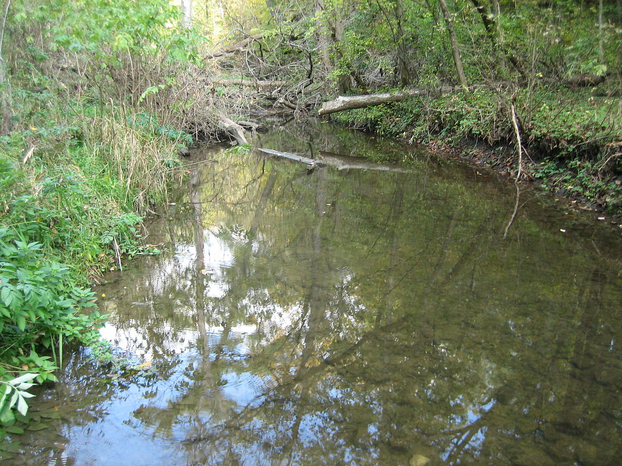 Wikimedia Commons