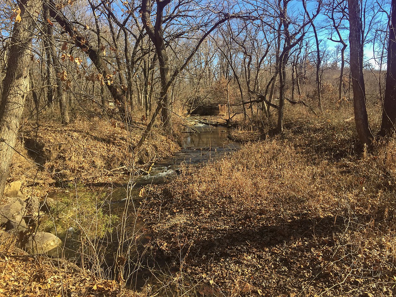 Central Group Camp (Chickasaw)
