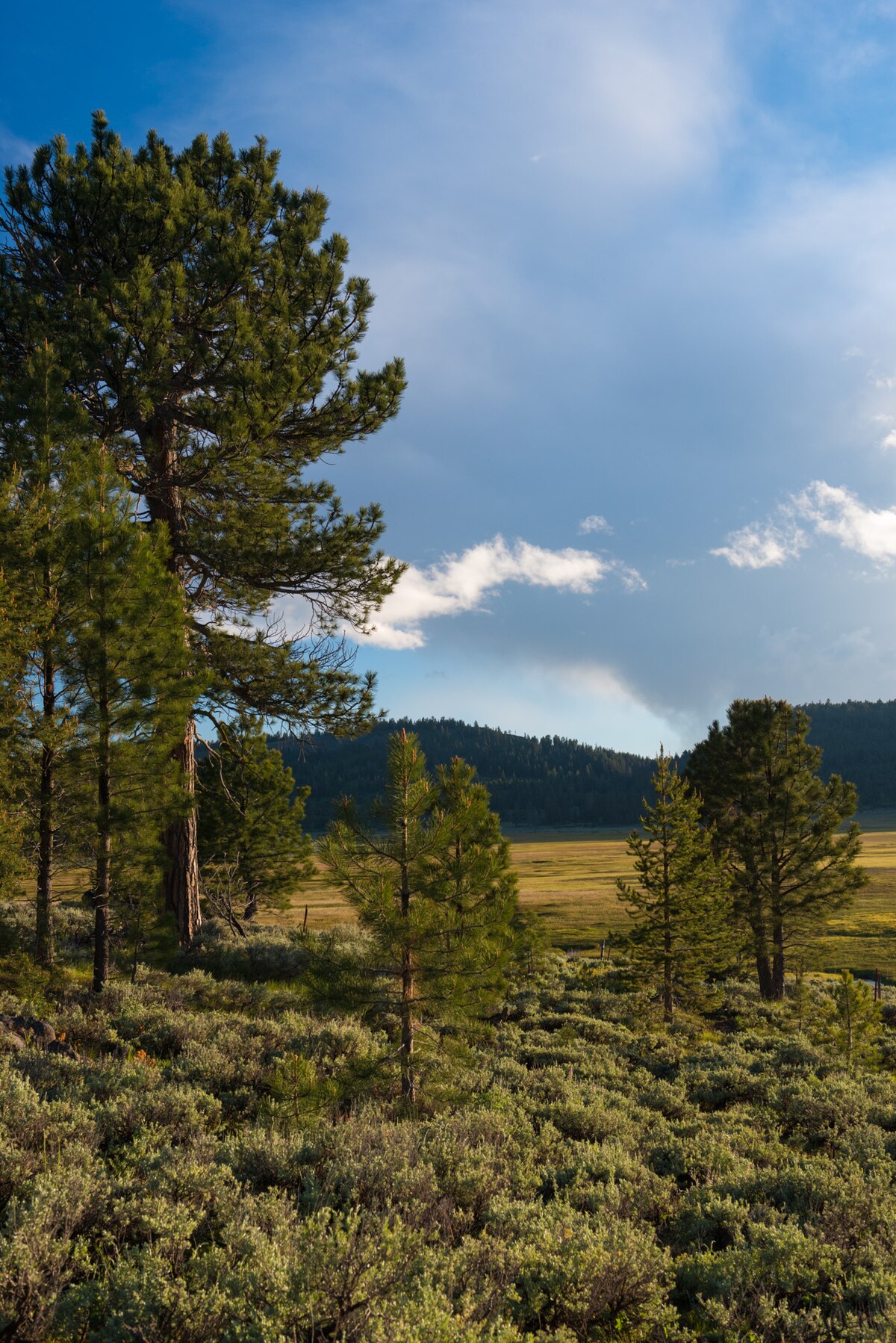 Mud Creek Campground