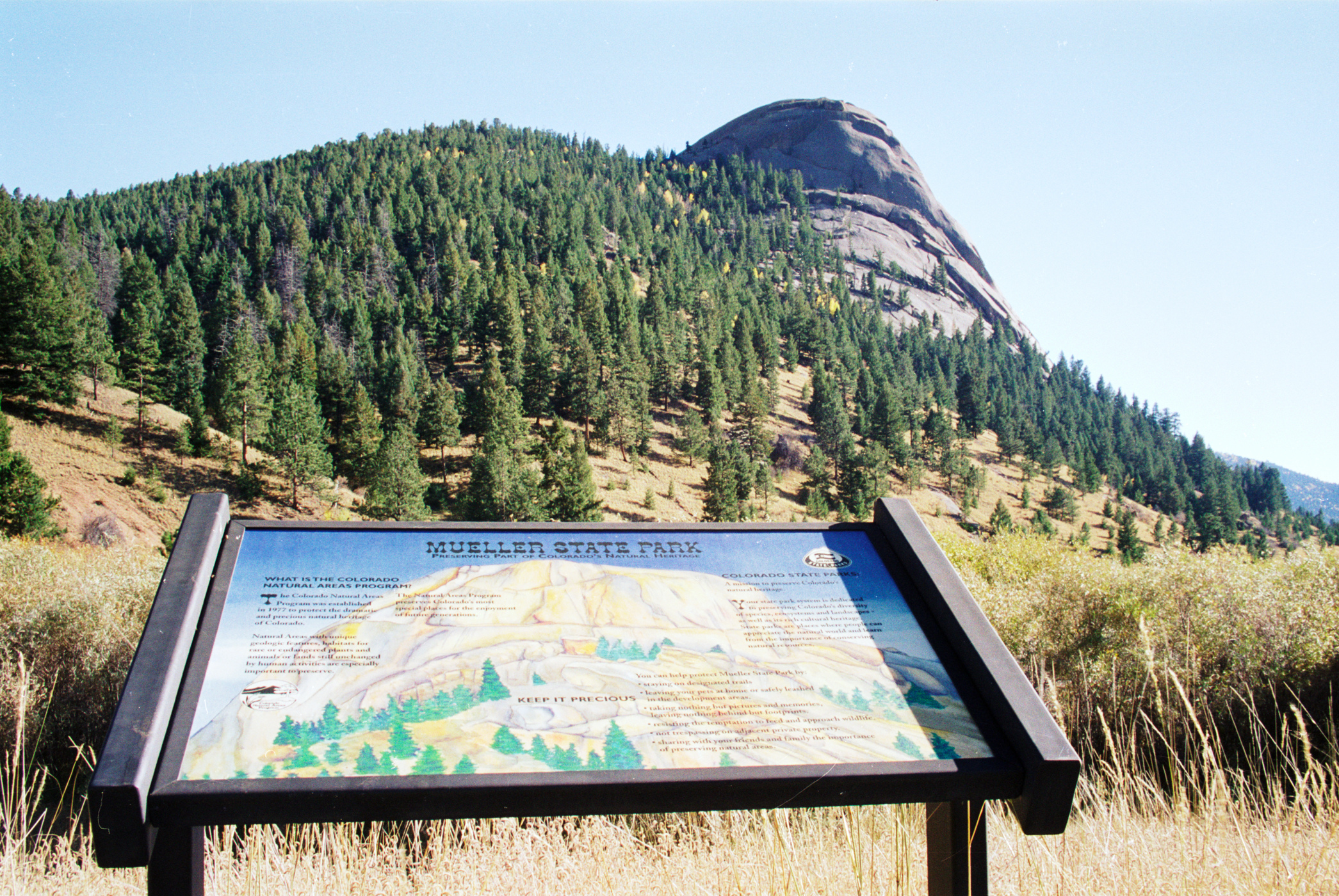 Wikimedia Commons
