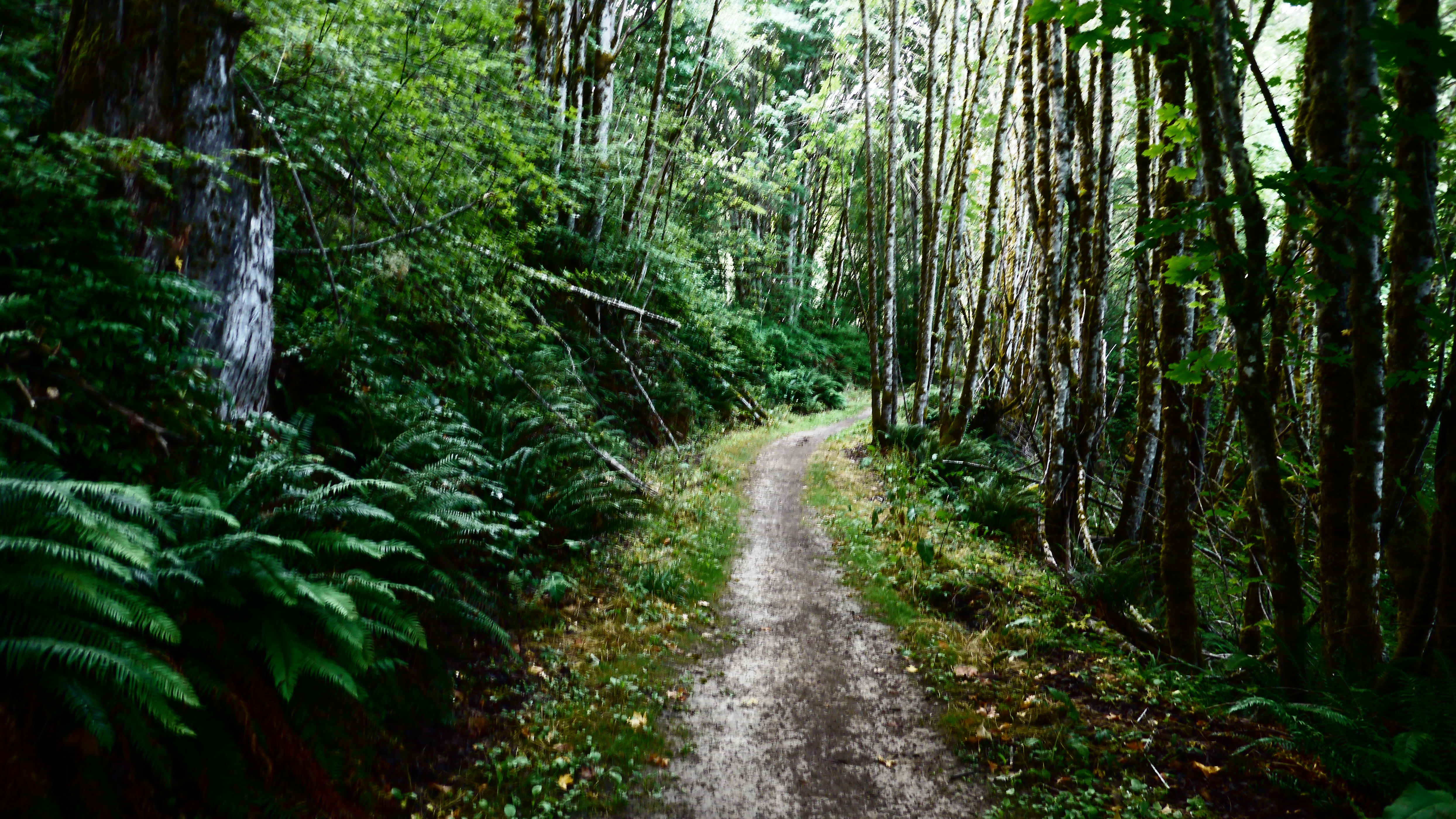 L.L. Stub Stewart Memorial State Park