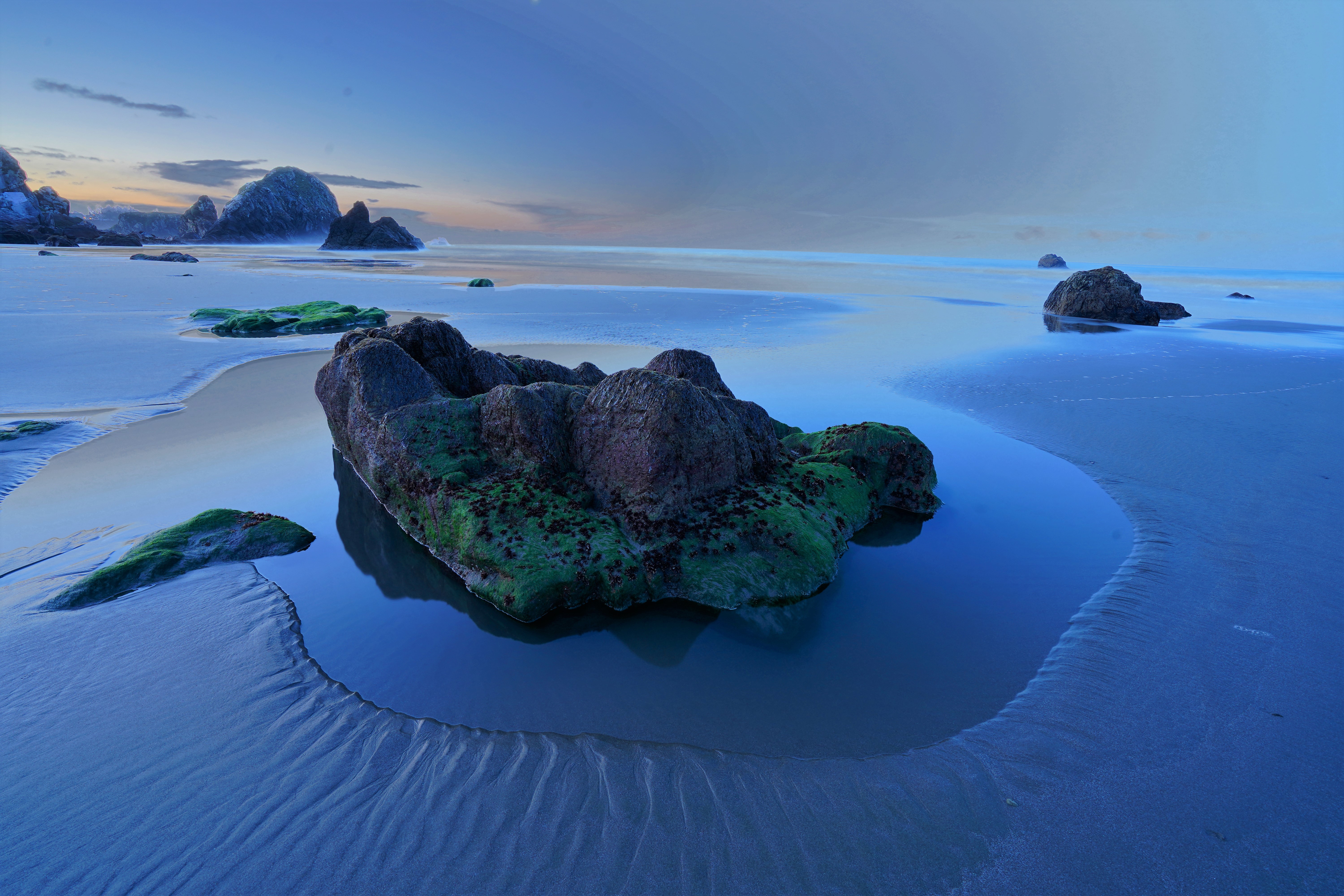 Harris Beach State Park