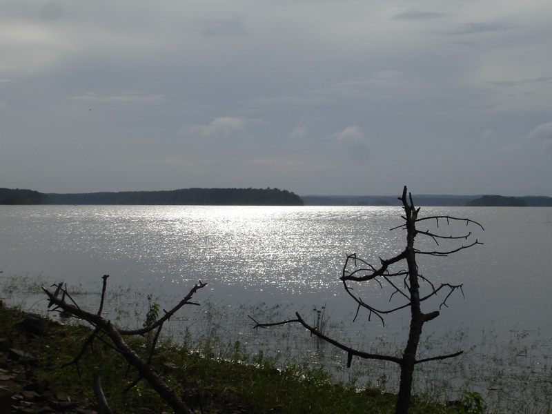 Wikimedia Commons