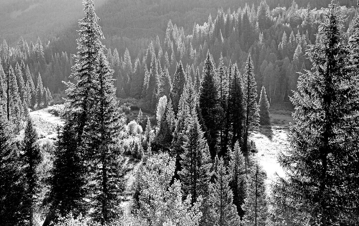 Stunner Campground