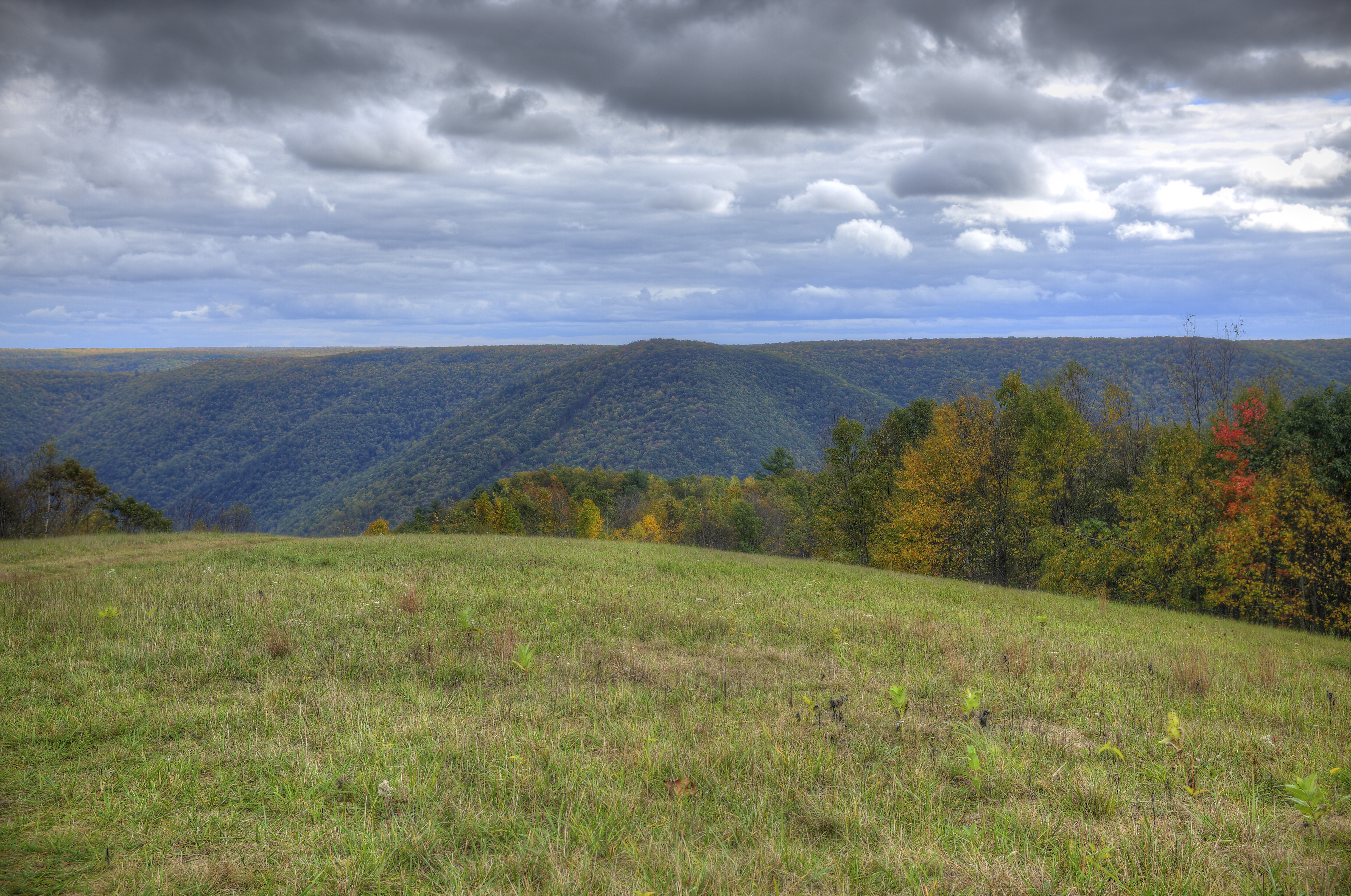 Sproul State Forest