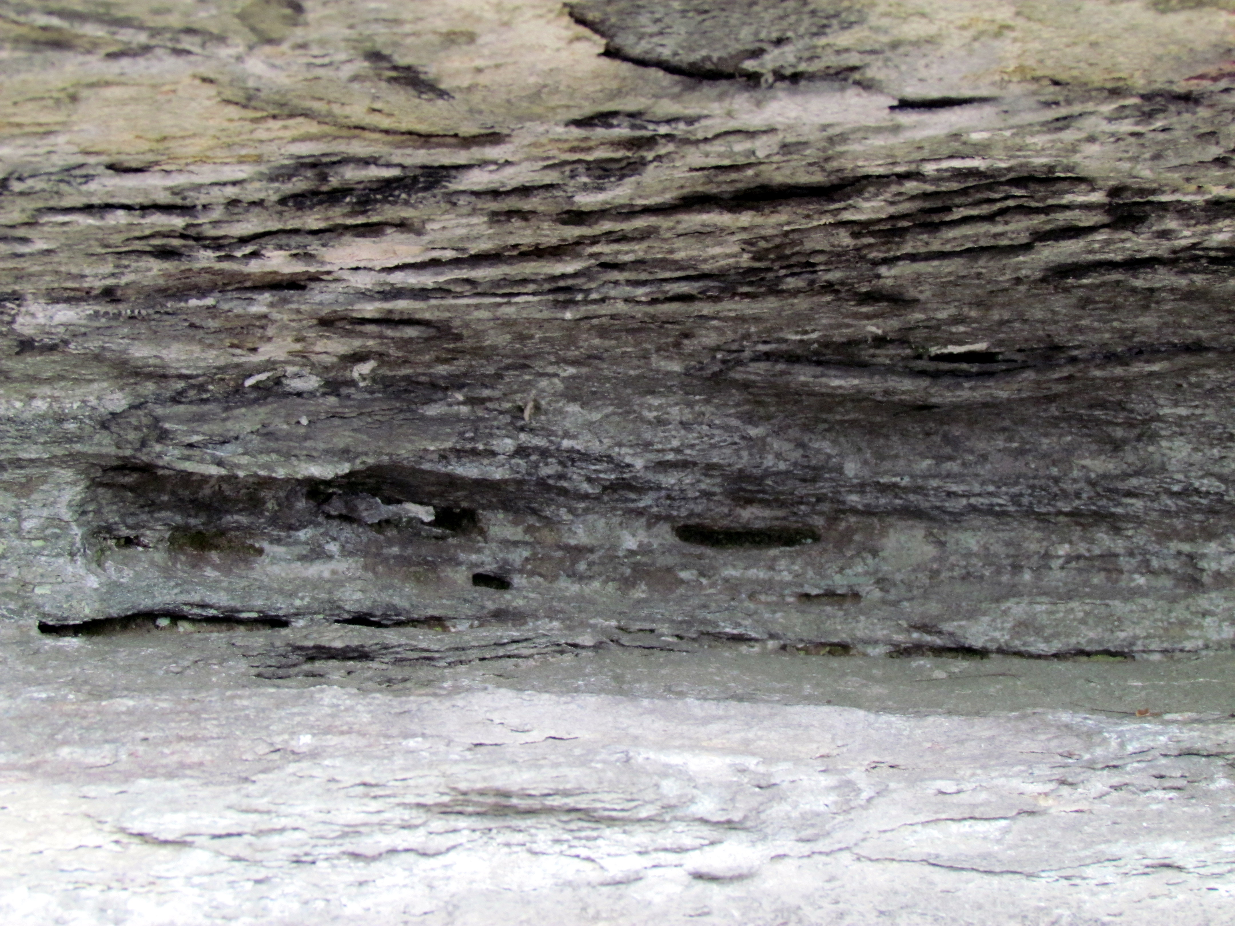 Pilot Mountain State Park
