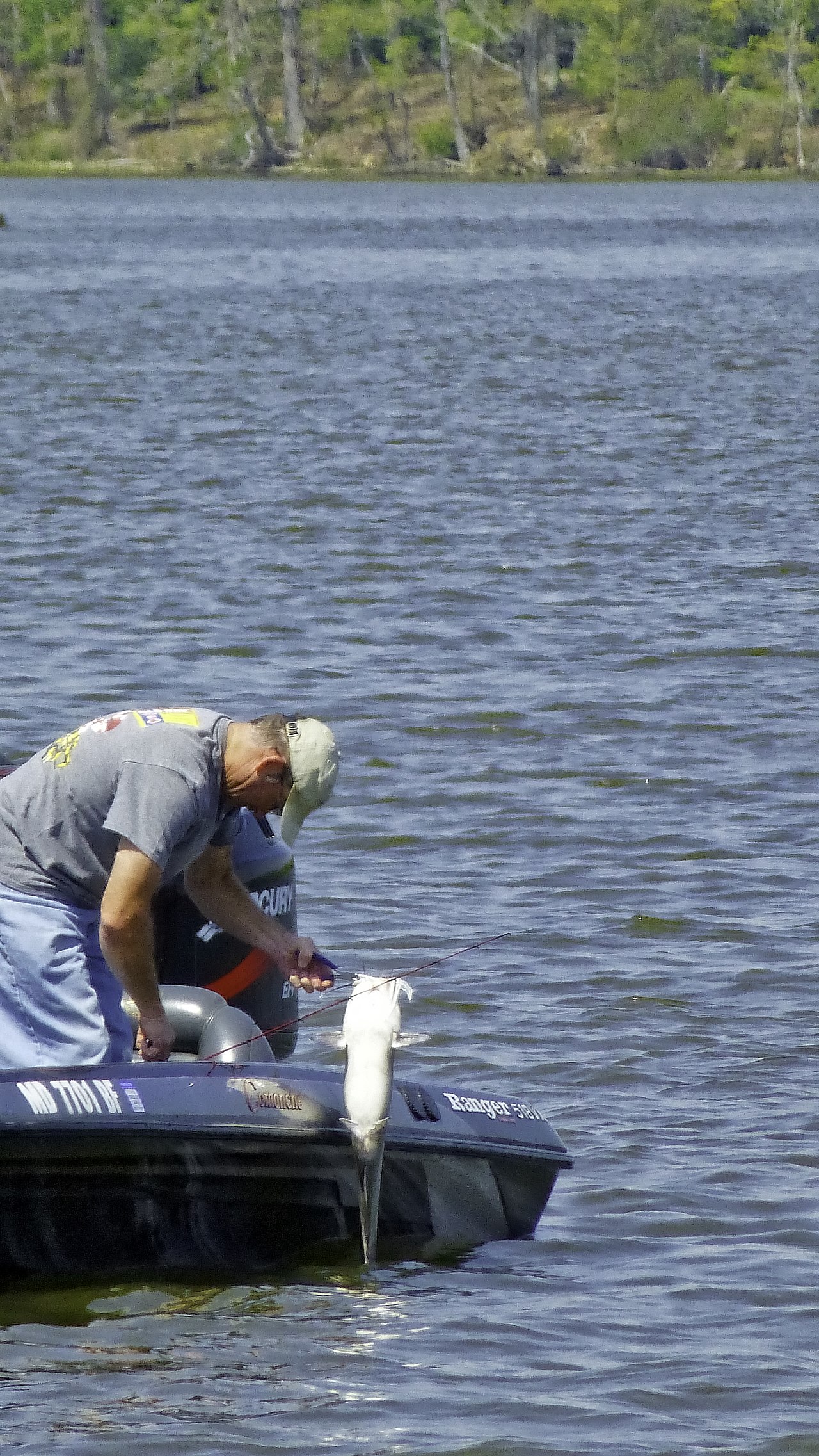 Smallwood State Park