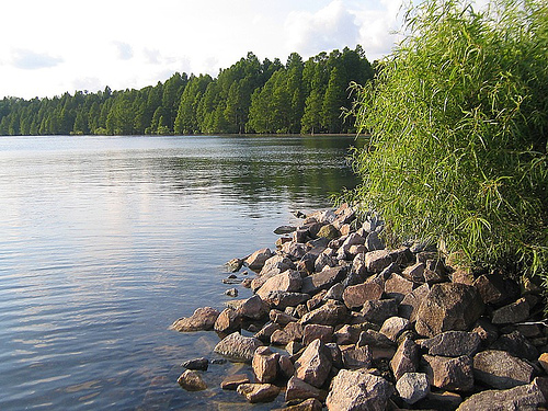 Wikimedia Commons