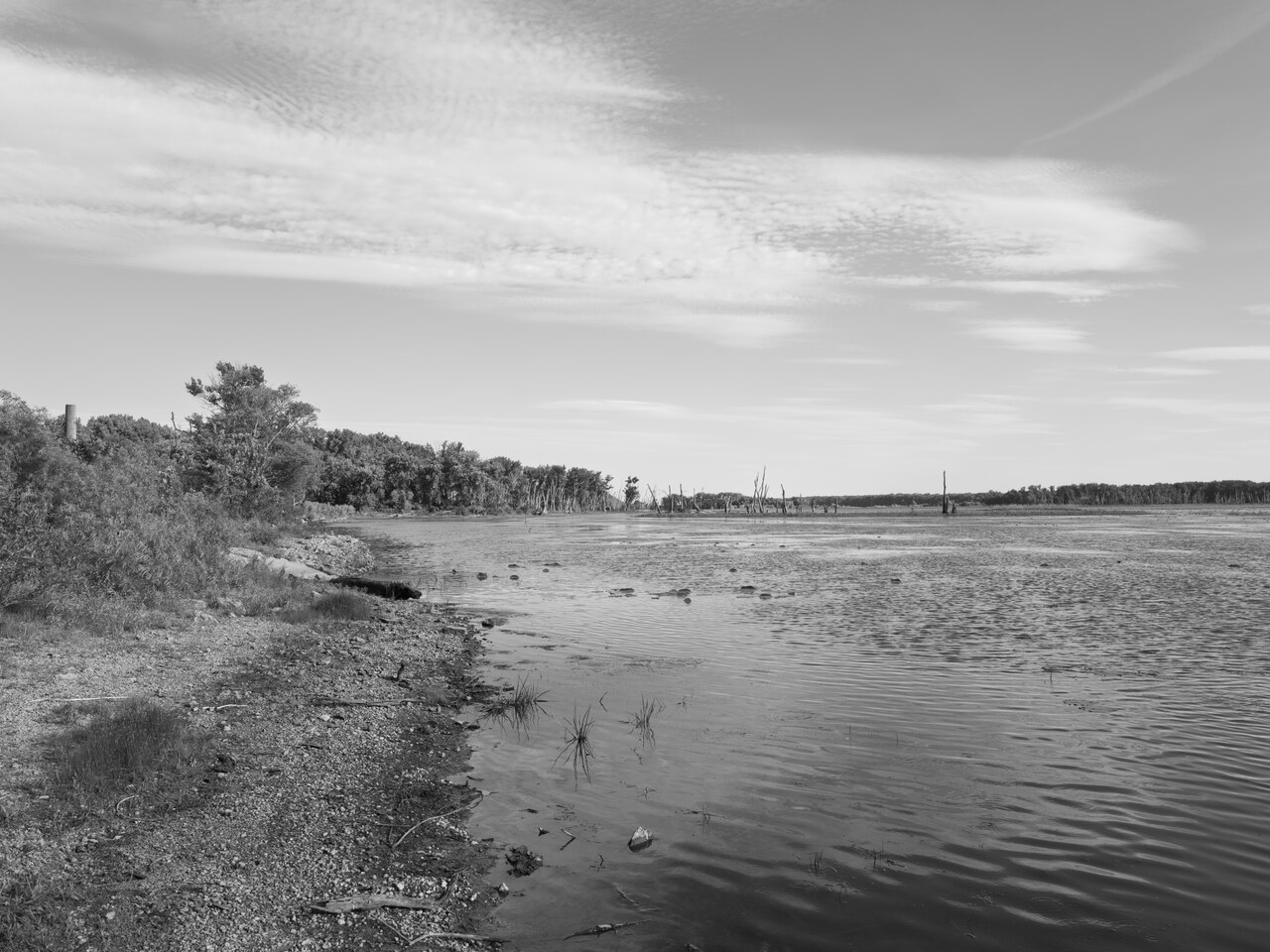 Mississippi Palisades Campground