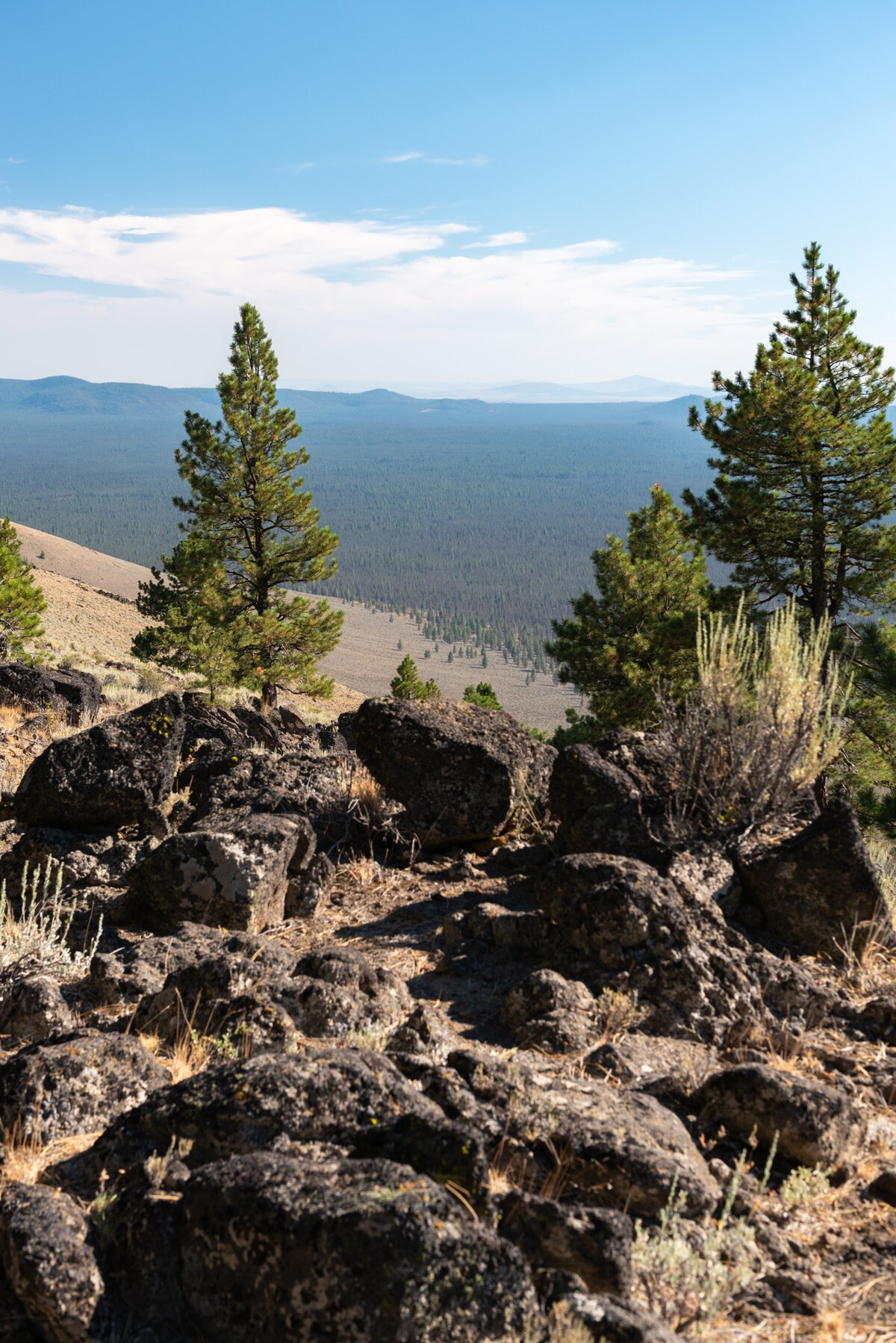 Pine Mountain Campground