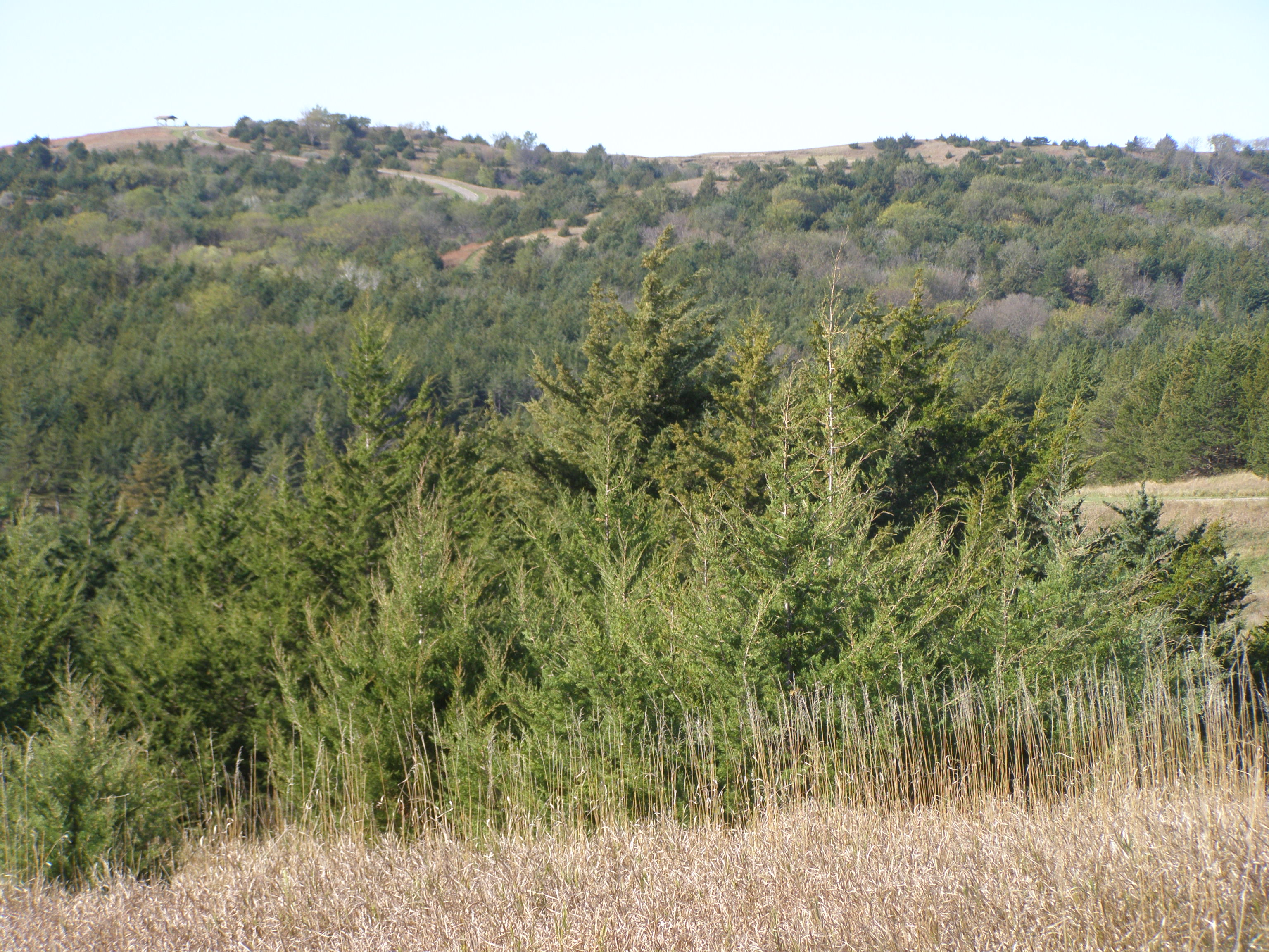 Niobrara State Park