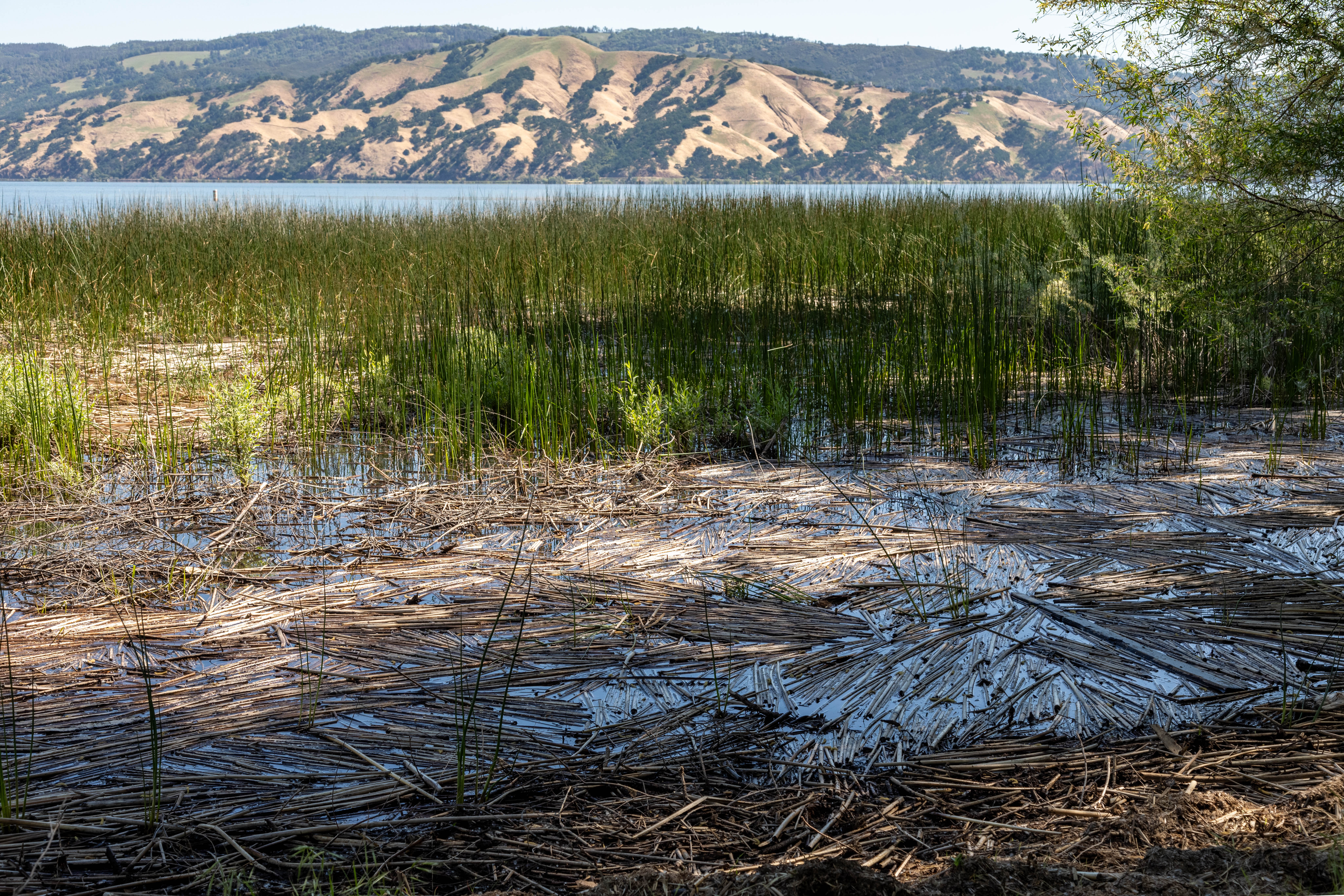 Clear Lake State Park