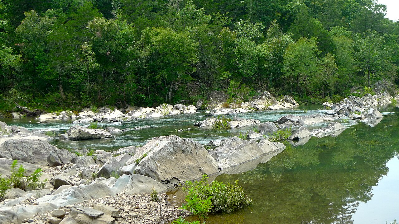 Wikimedia Commons