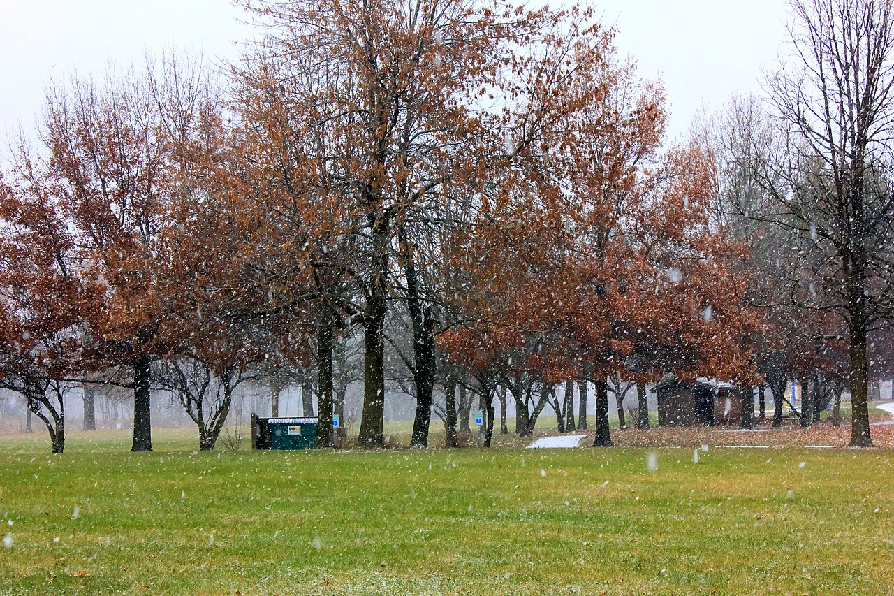 Shabbona Lake Campground