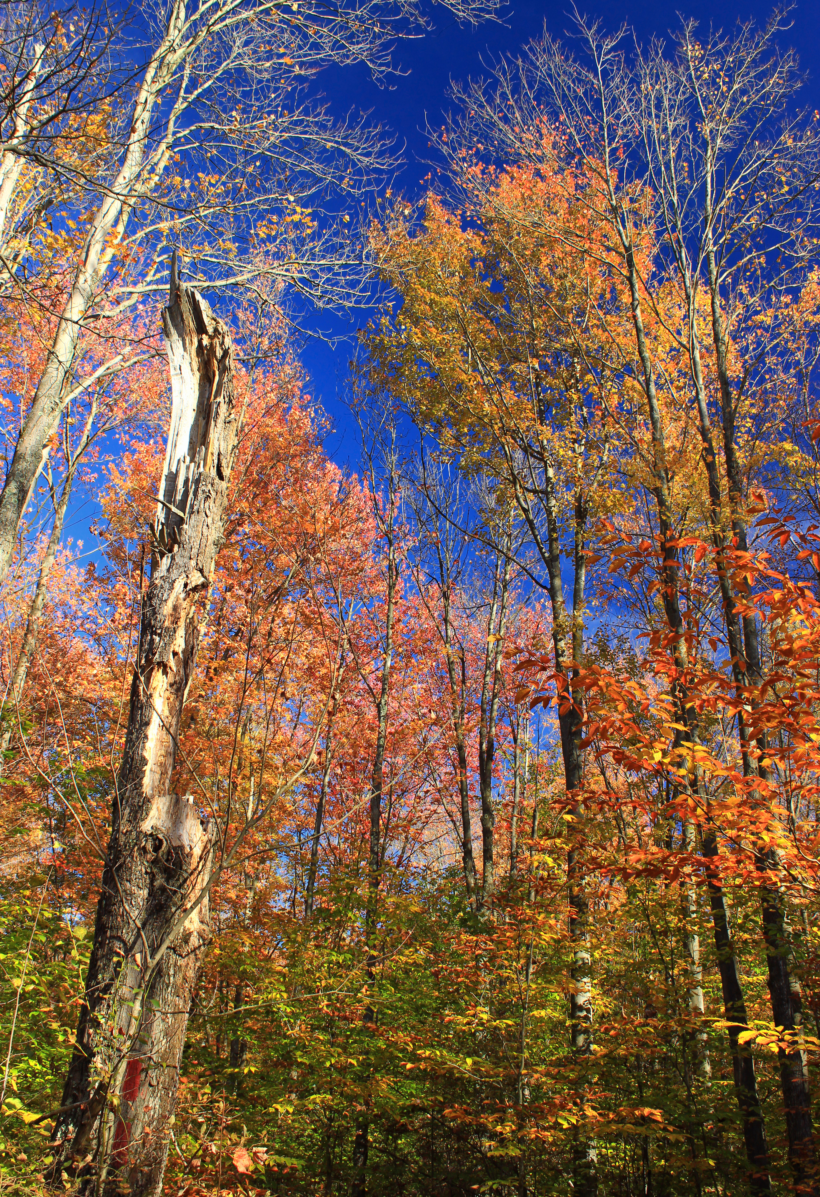 Gouldsboro State Park