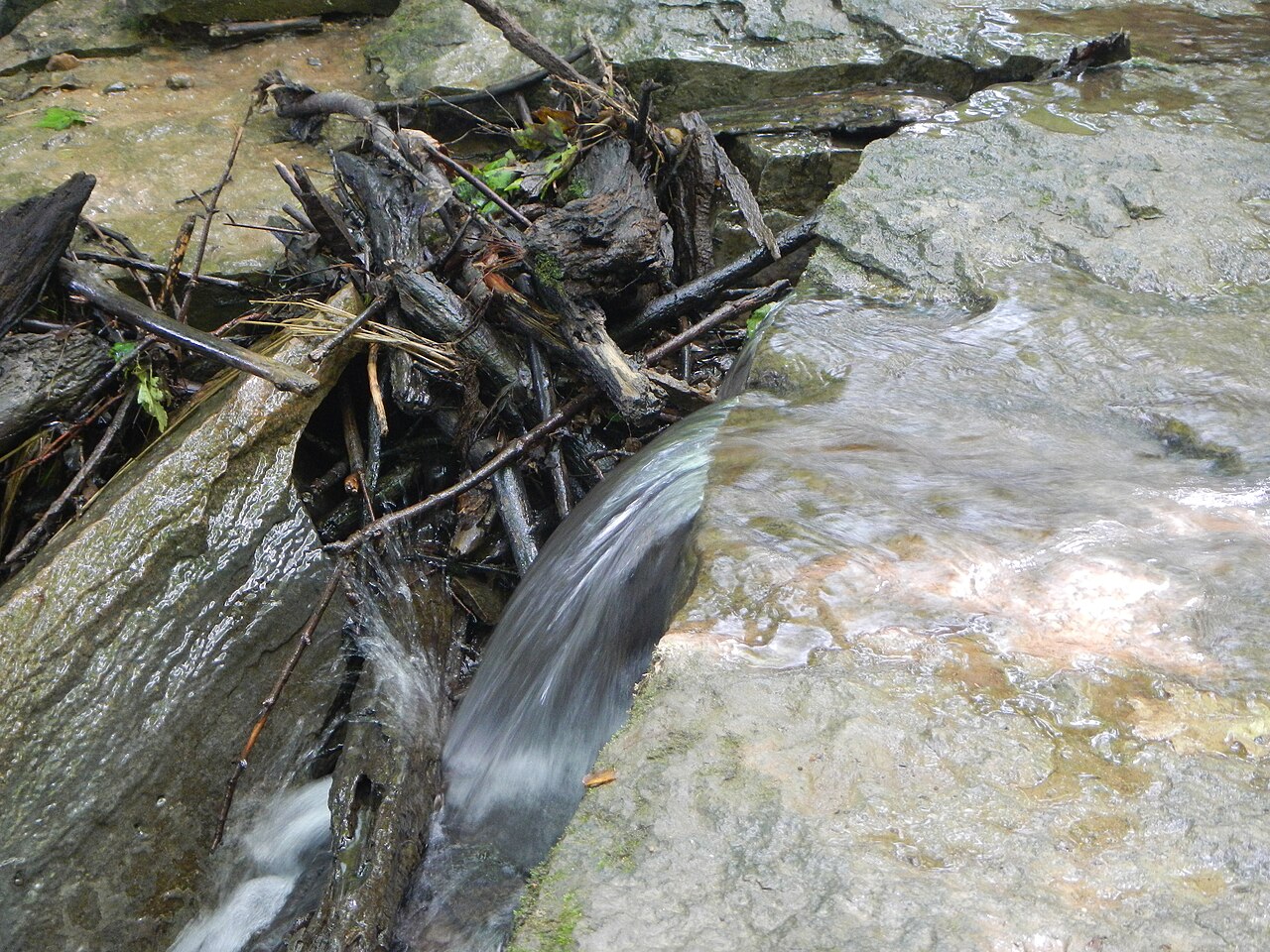 Kickapoo Campground