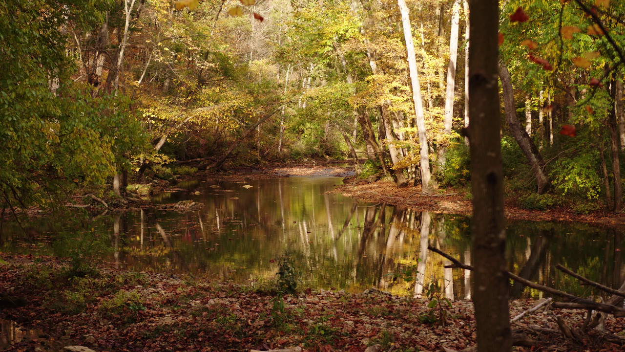 John Bryan Group Campground