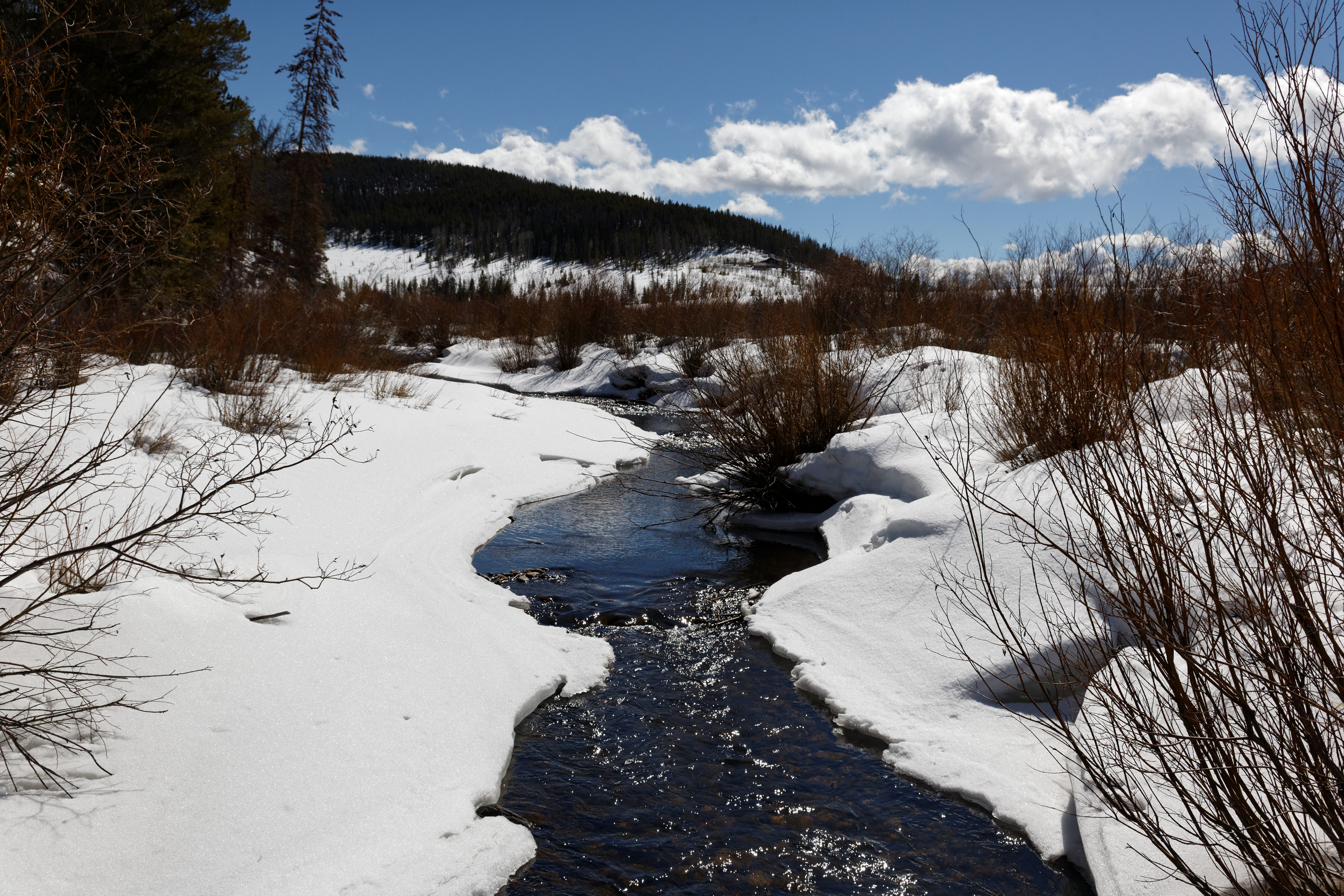 State Forest State Park