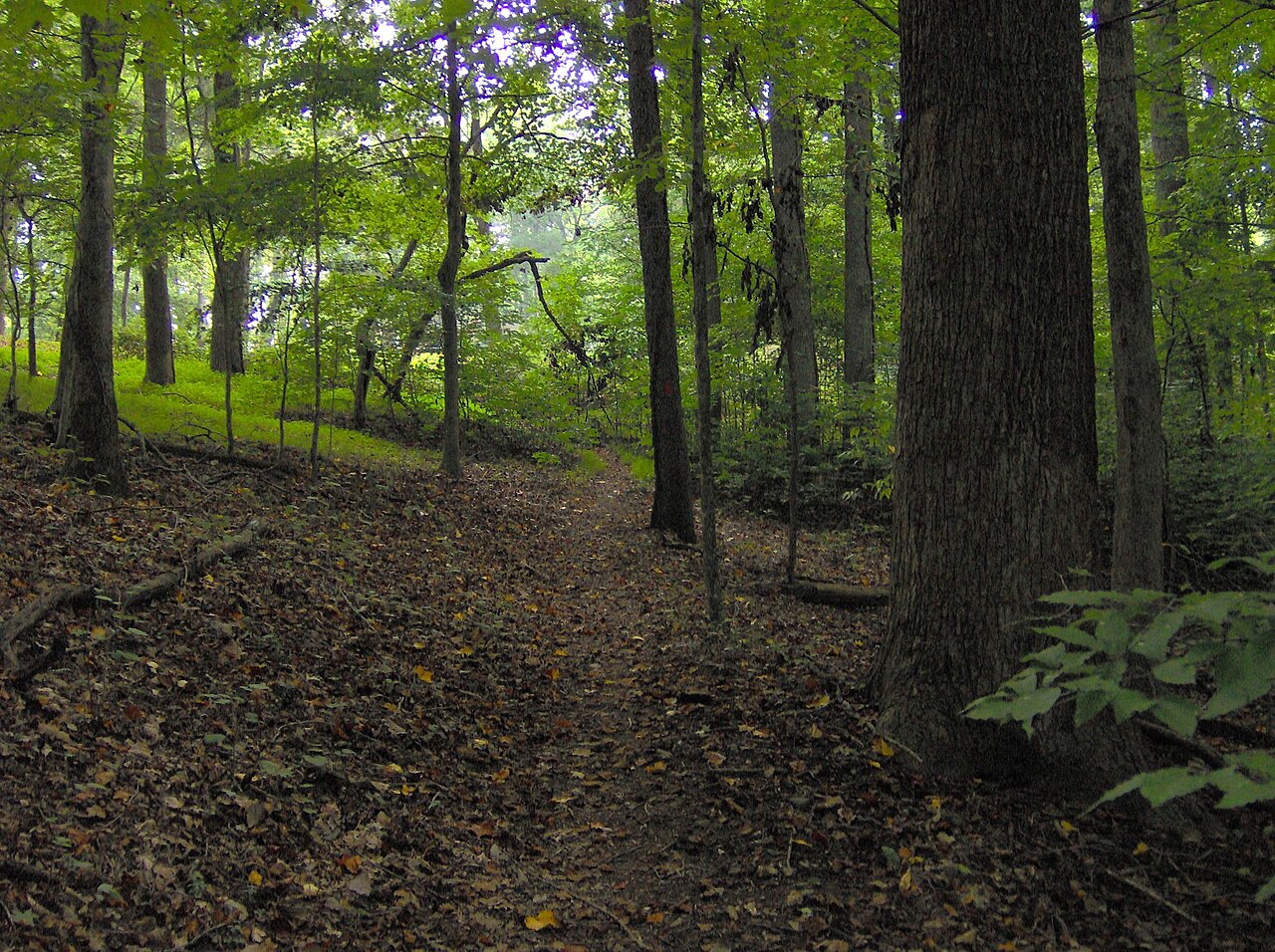 Norris Dam State Park