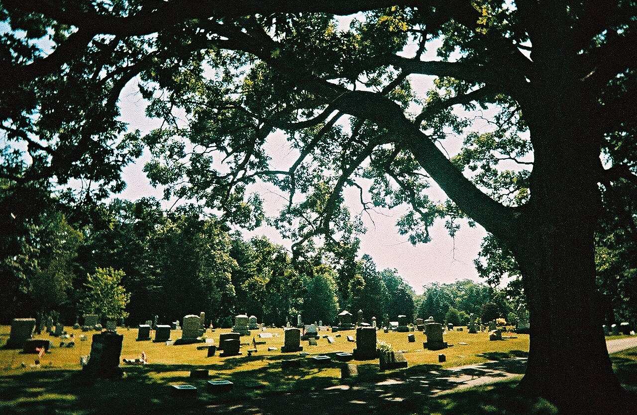 Pine Grove State Forest Campground