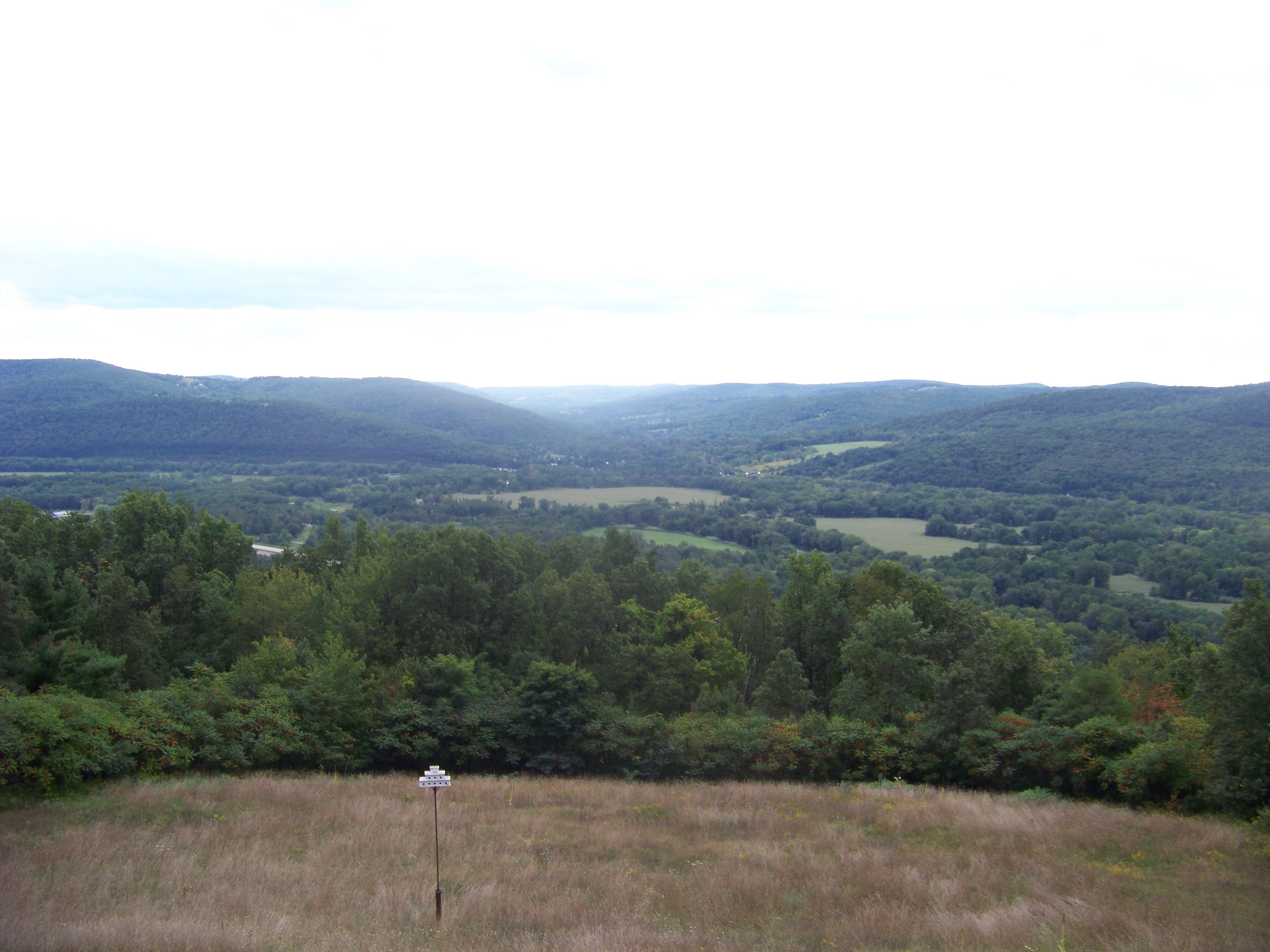 Wikimedia Commons