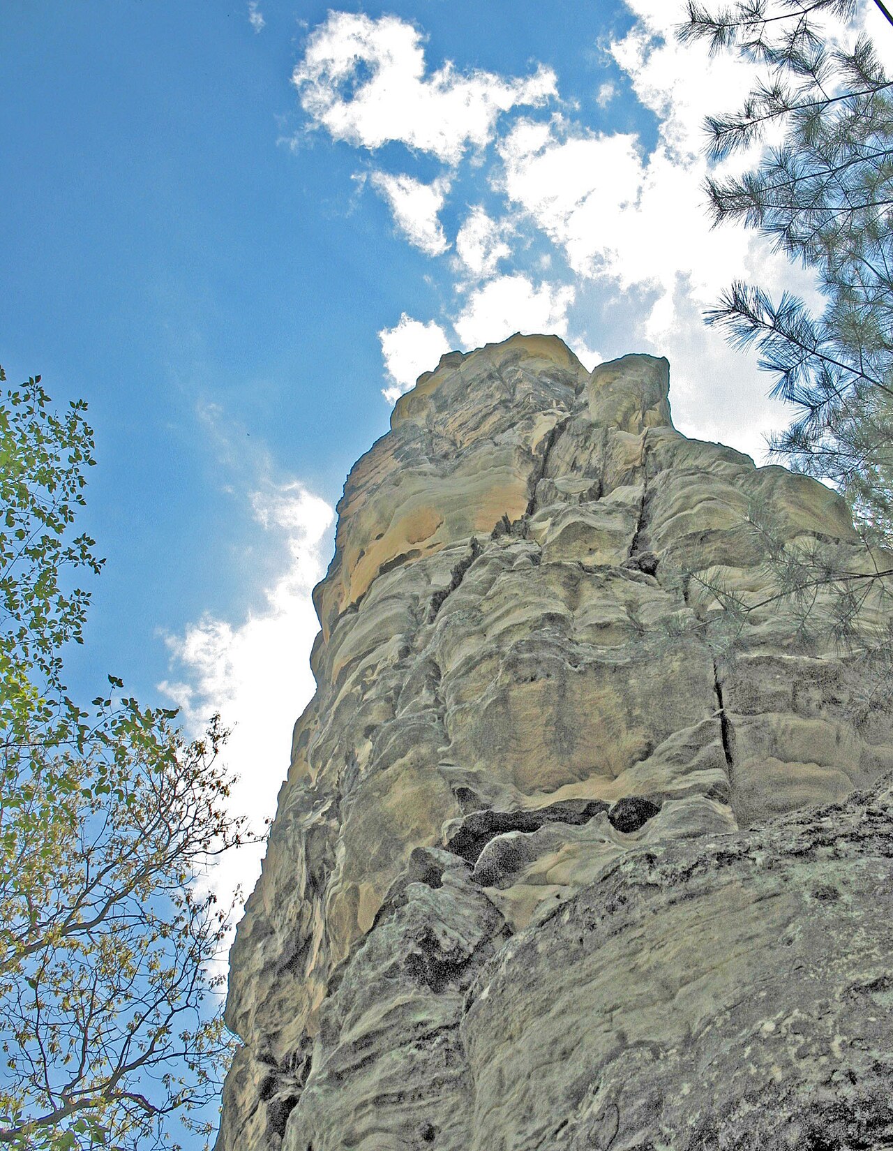 Mill Bluff State Park