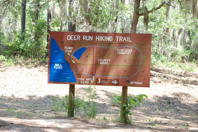 George L Smith State Park