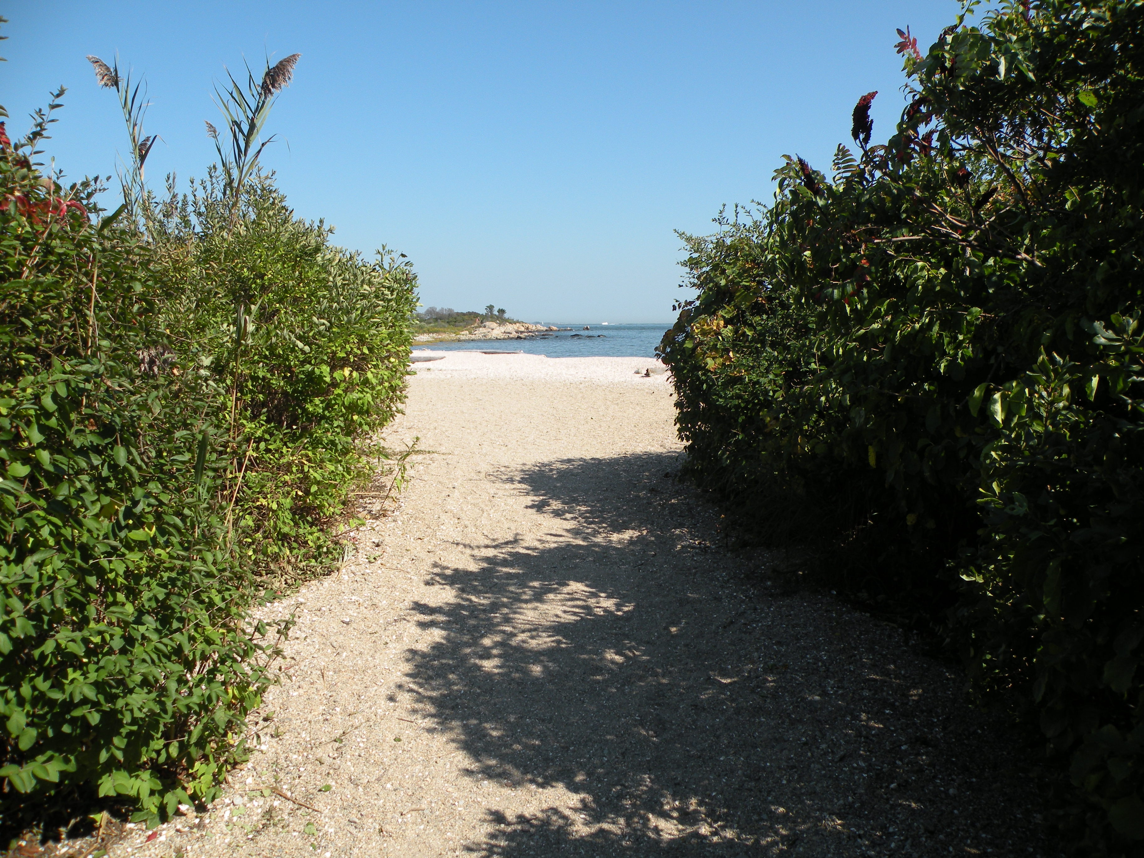 Hammonasset Beach State Park