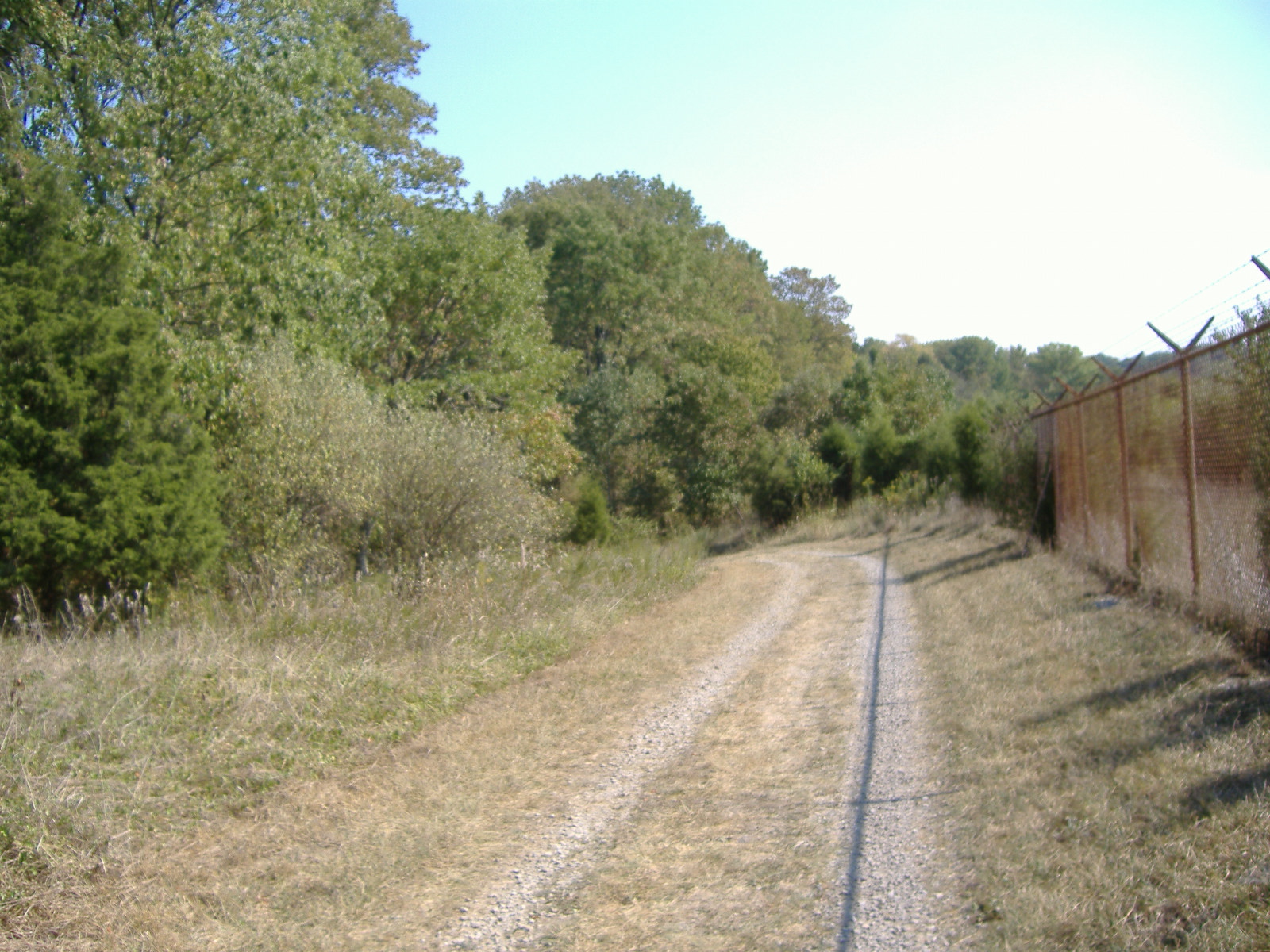 Wikimedia Commons