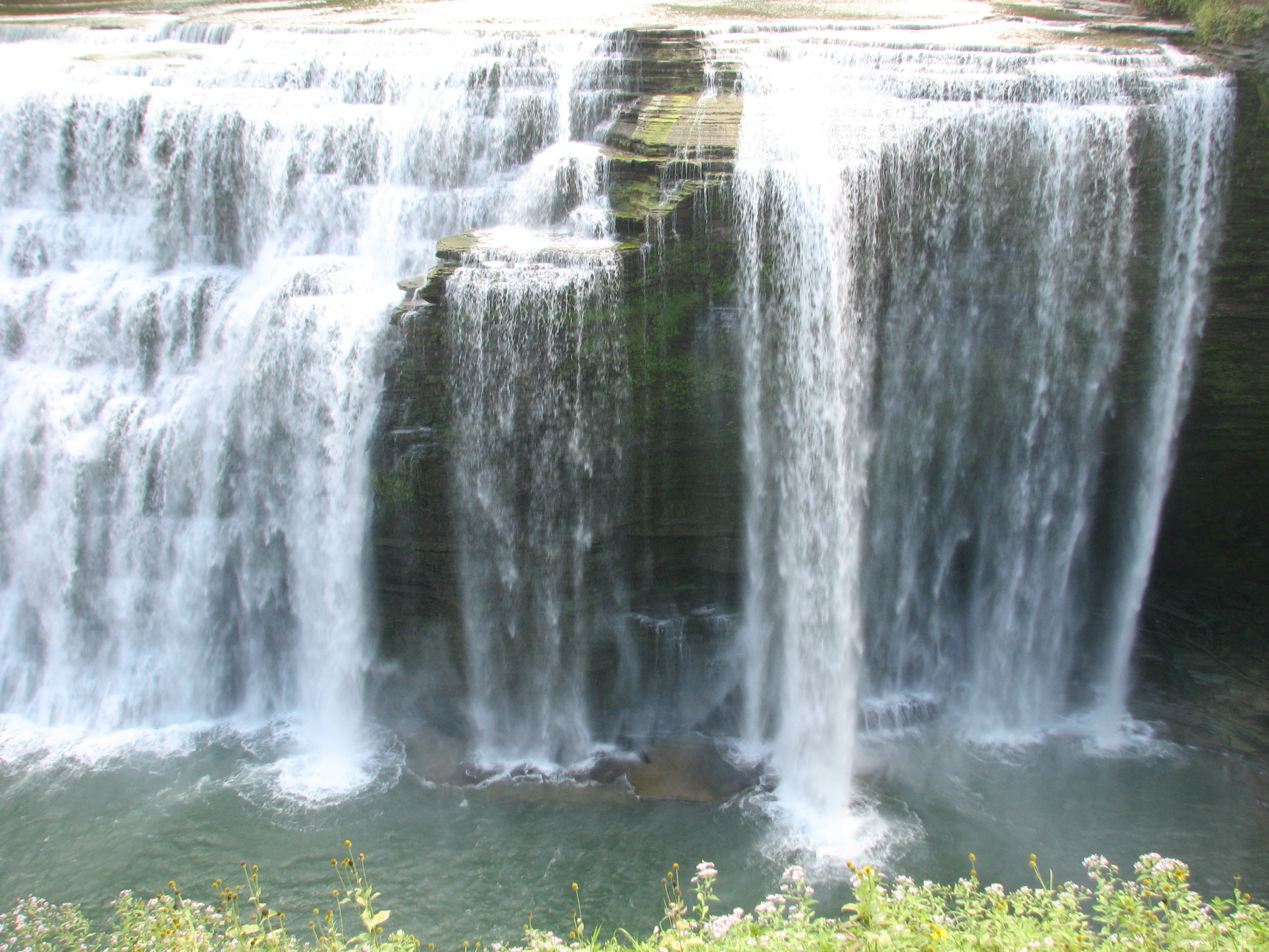 Wikimedia Commons