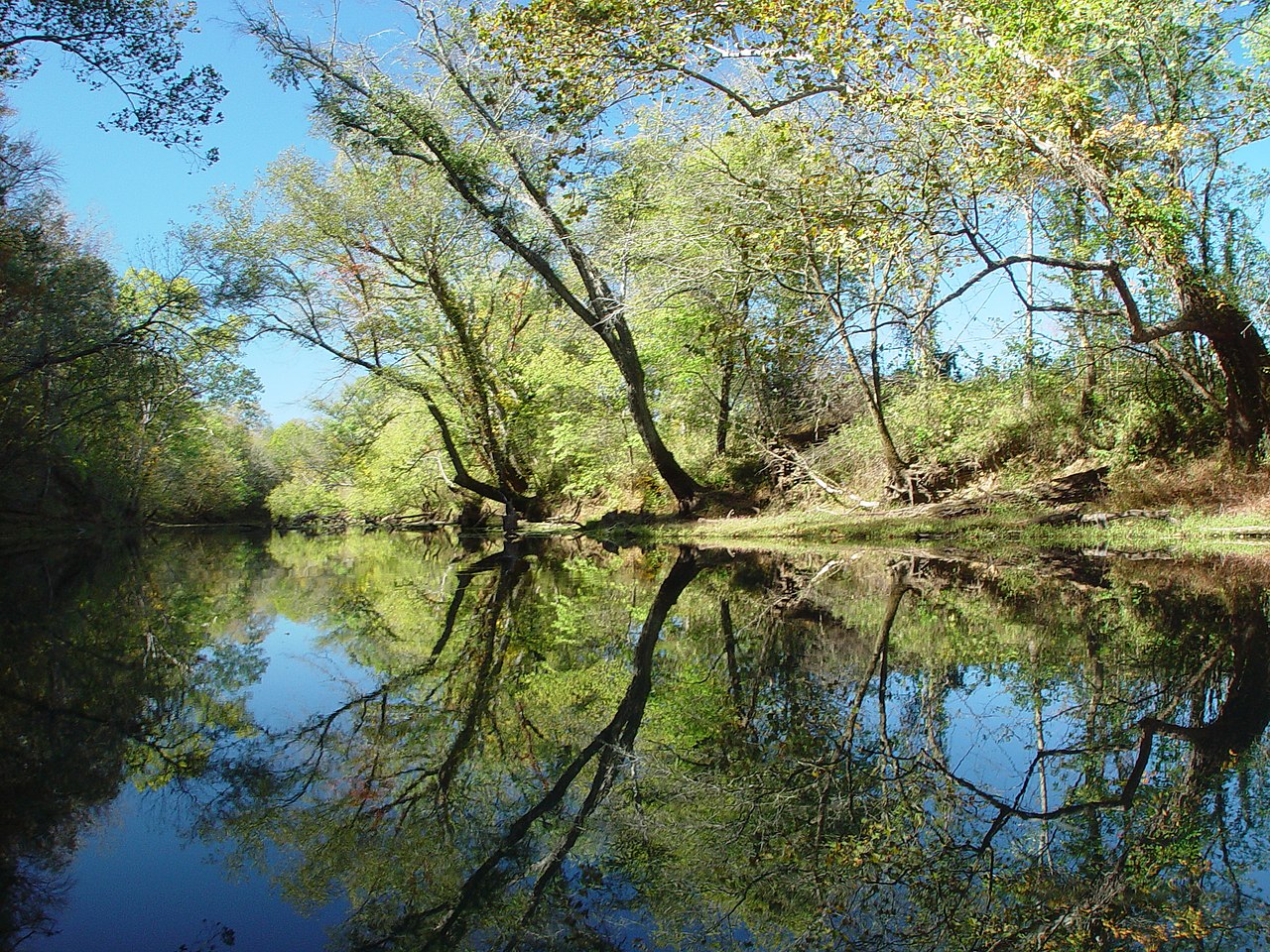 Tims Ford State Park