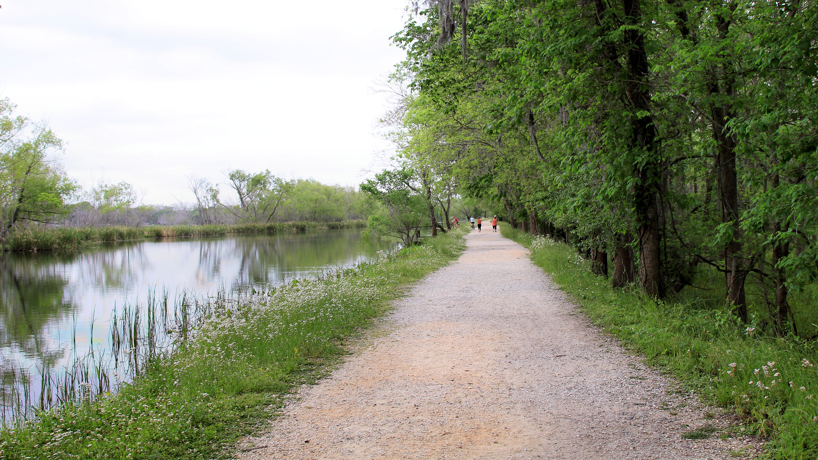 Brazos Bend State Park