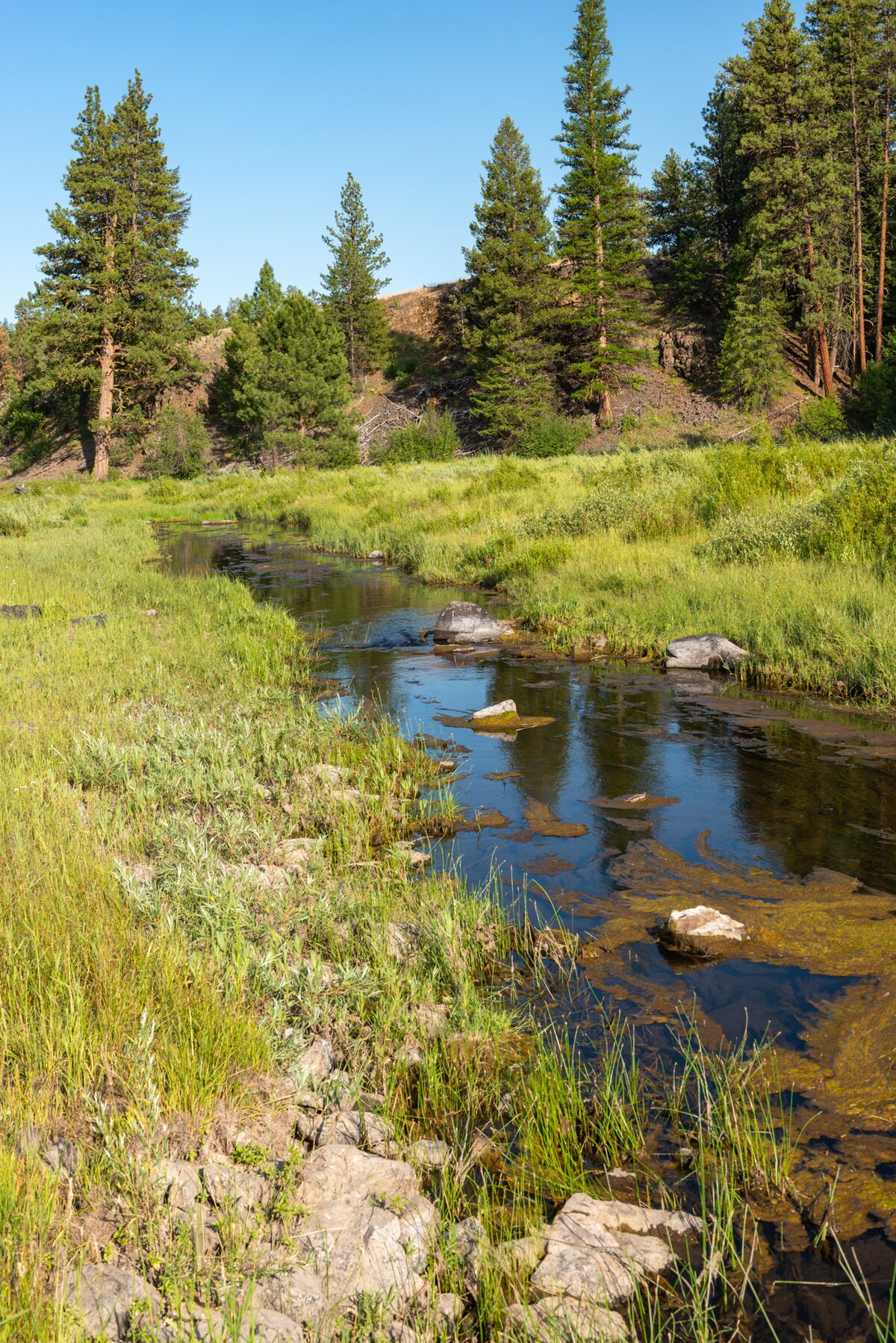 Deep Creek Campground