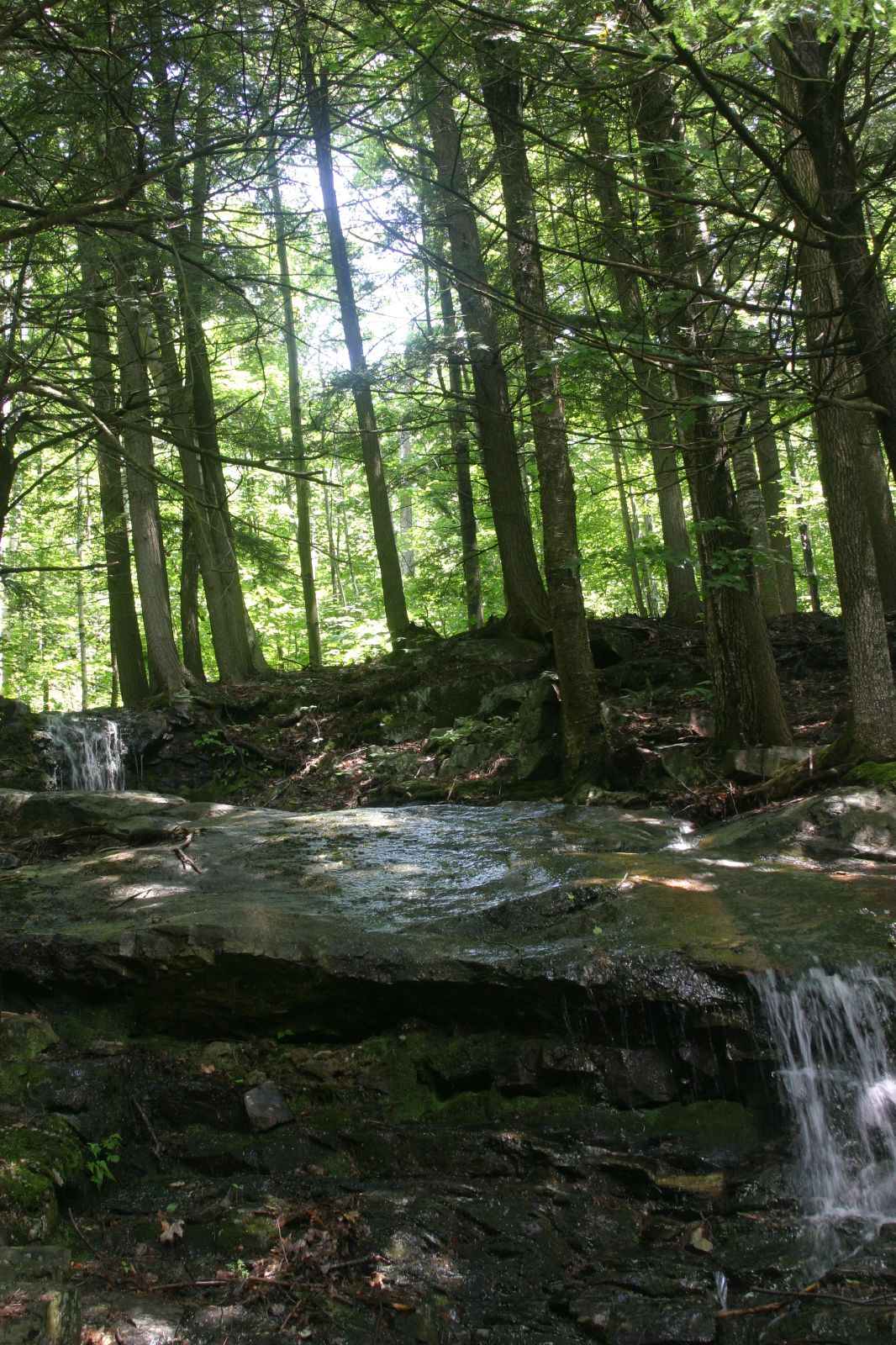 Mount Ascutney State Park