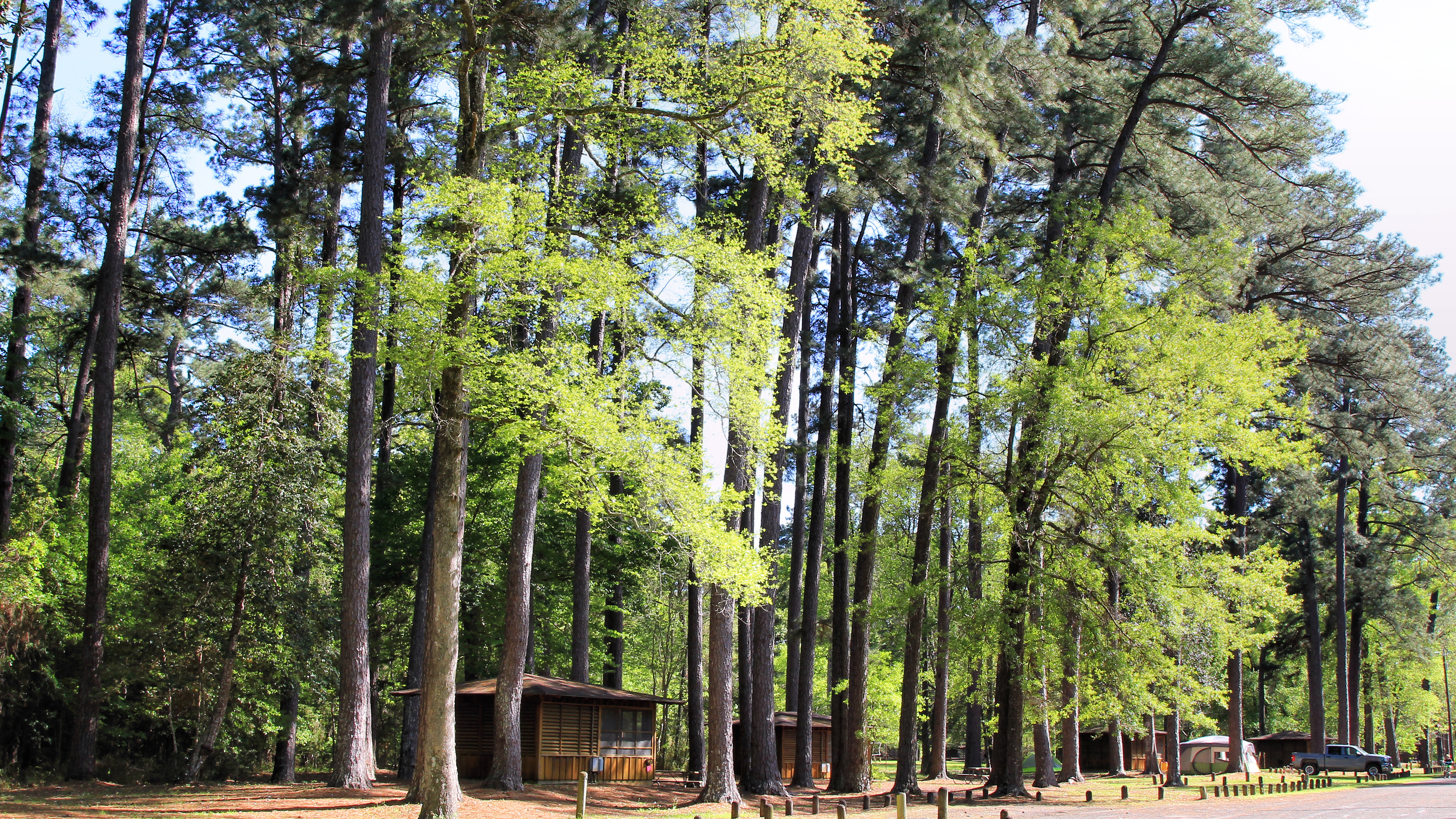 Martin Dies Jr. State Park