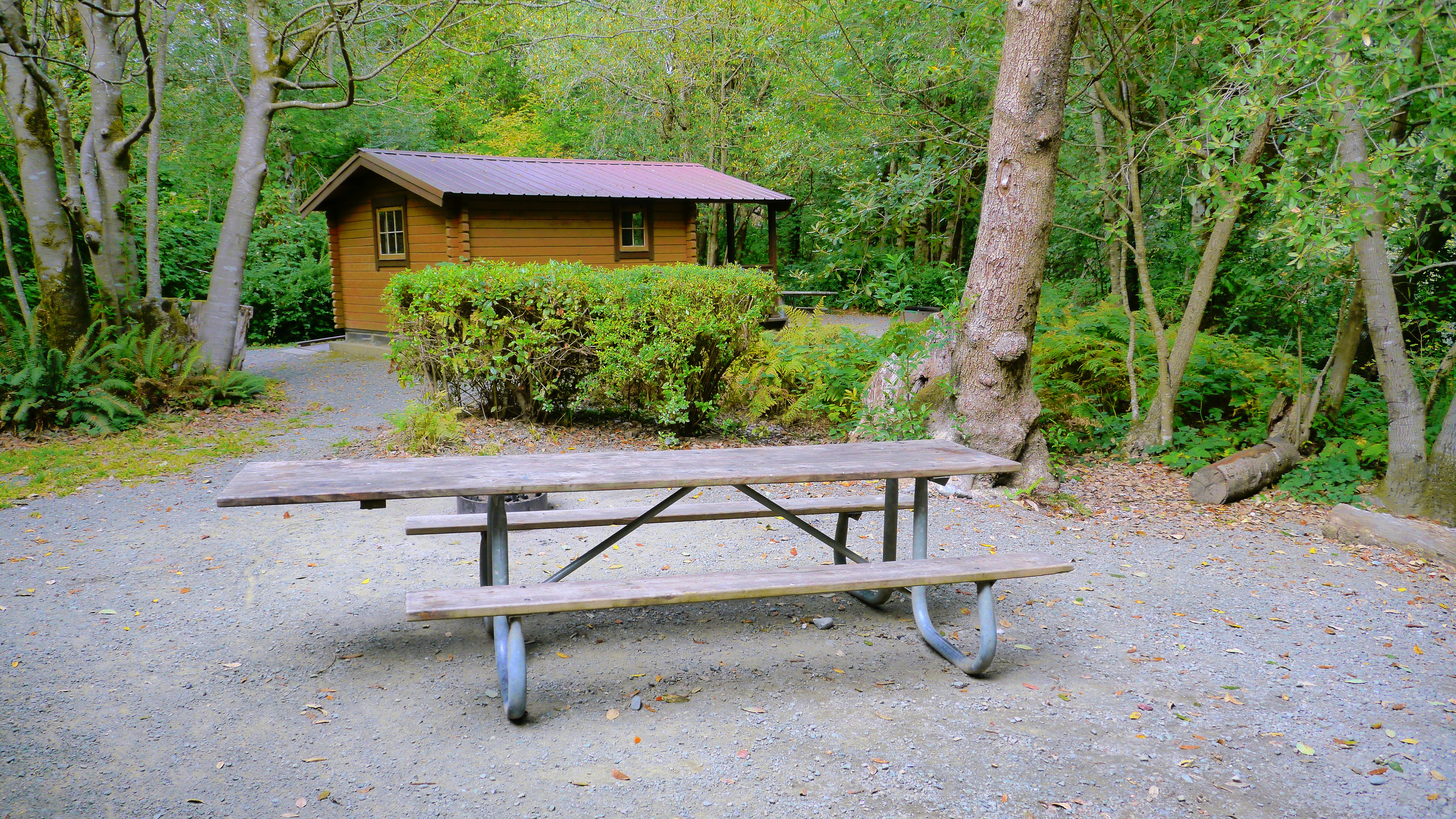 Alfred A. Loeb State Park