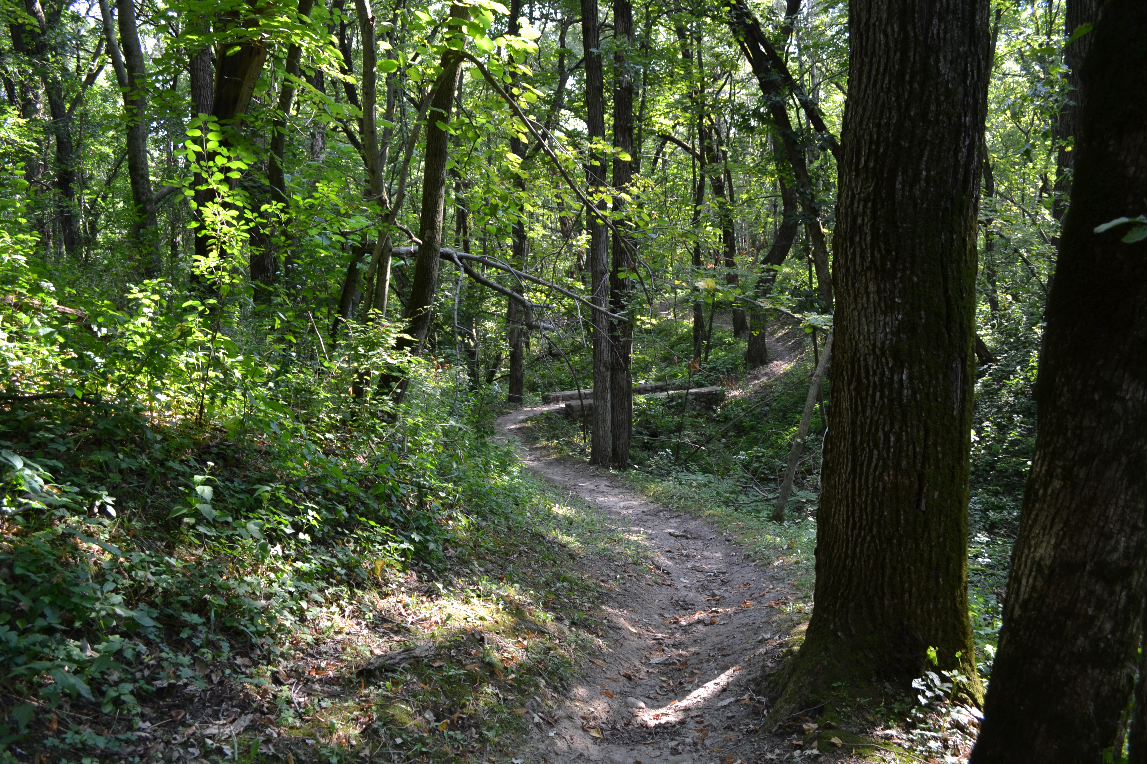 Pilot Knob State Park