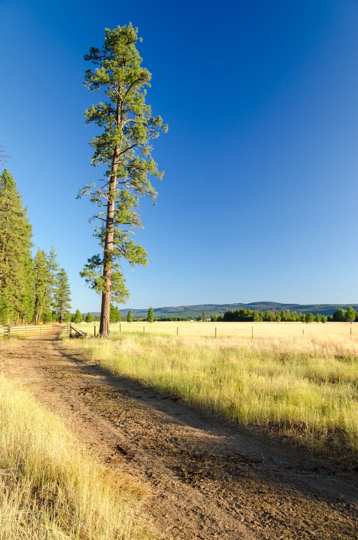 Big Creek Campground